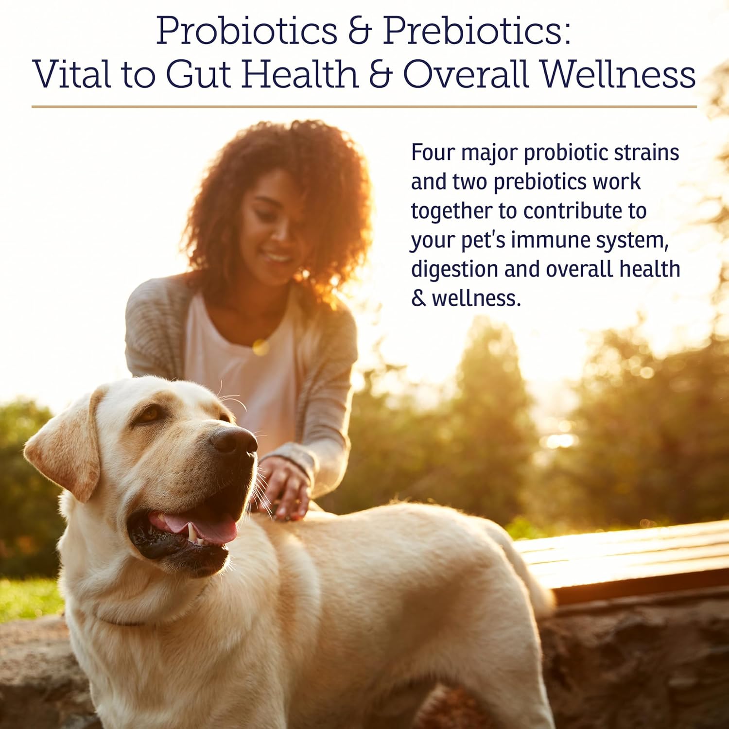 Rx Biotic Probiotics for Dogs & Cats - Digestive Supplement for Pets - 2.12 oz Bottle