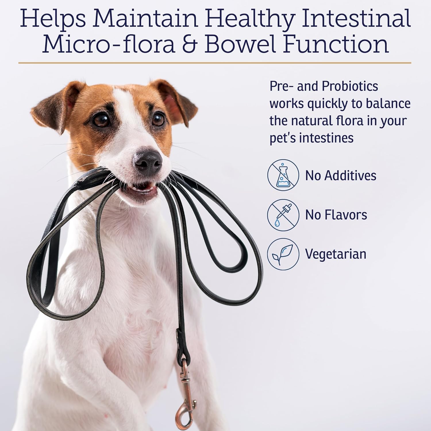 Rx Biotic Probiotics for Dogs & Cats - Digestive Supplement for Pets - 2.12 oz Bottle