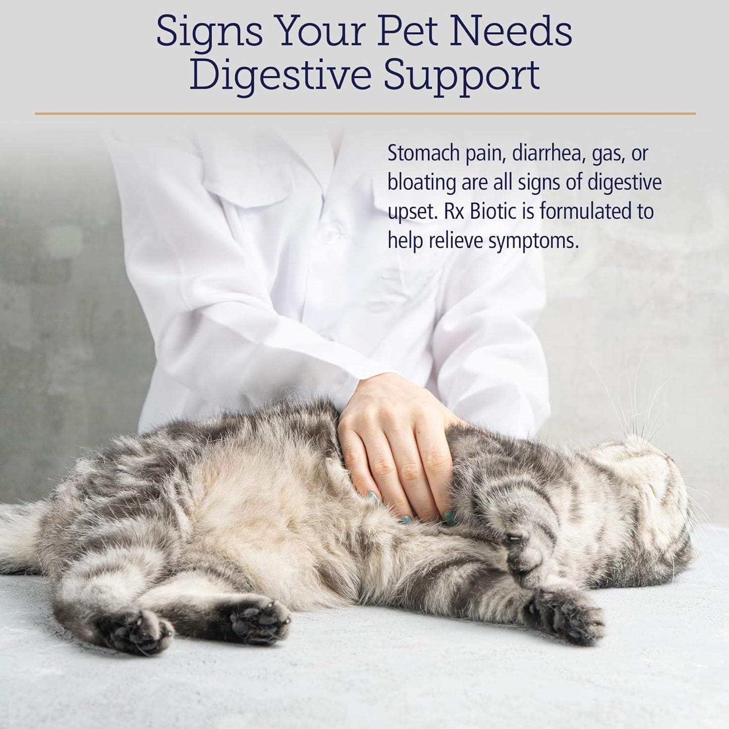 Rx Vitamins Rx Biotic Probiotic Powder for Dogs and Cats - Digestive Support for Pets - Indoor Cat and Dog Gut Health - 2.12oz