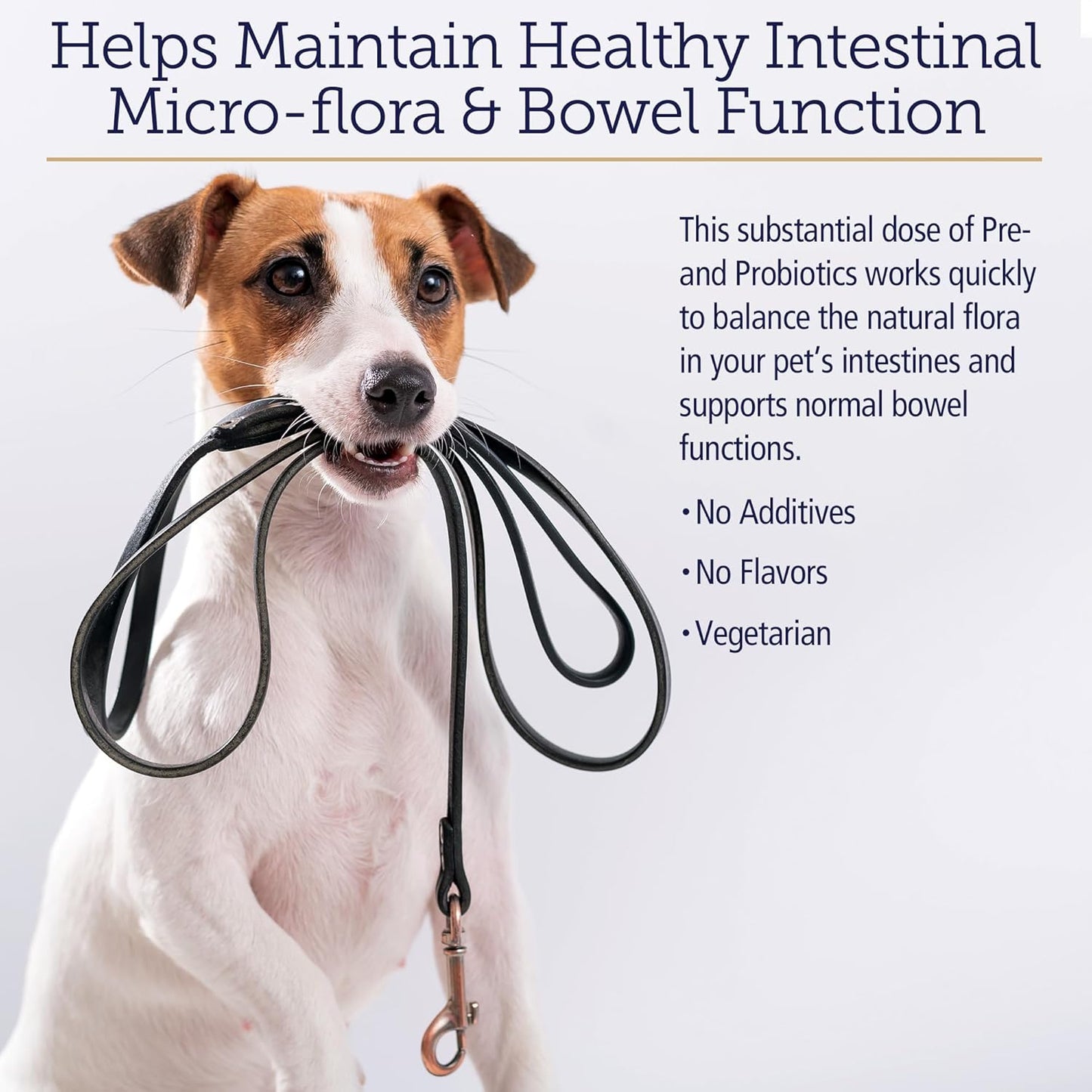 Rx Vitamins Rx Biotic Probiotic Powder for Dogs and Cats - Digestive Support for Pets - Indoor Cat and Dog Gut Health - 2.12oz