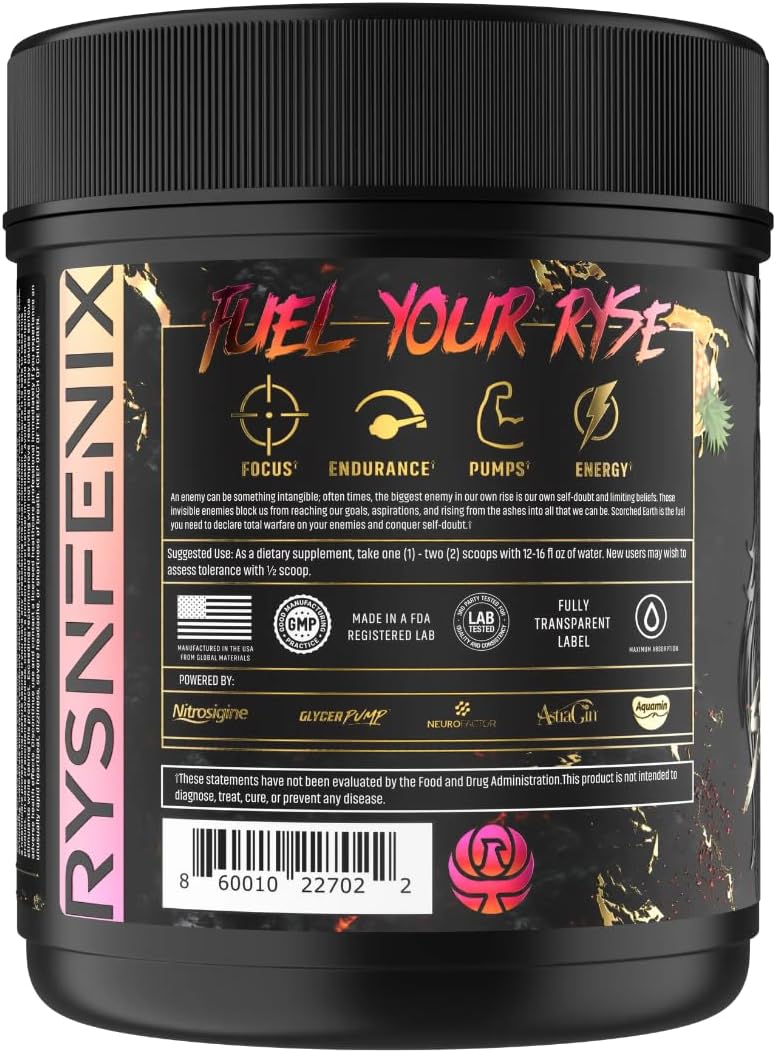 RysnFenix Scorched Earth Pre Workout Powder - Tropical Punch Flavor for Enhanced Energy and Focus, Dual-Source Caffeine and Nootropics Formula