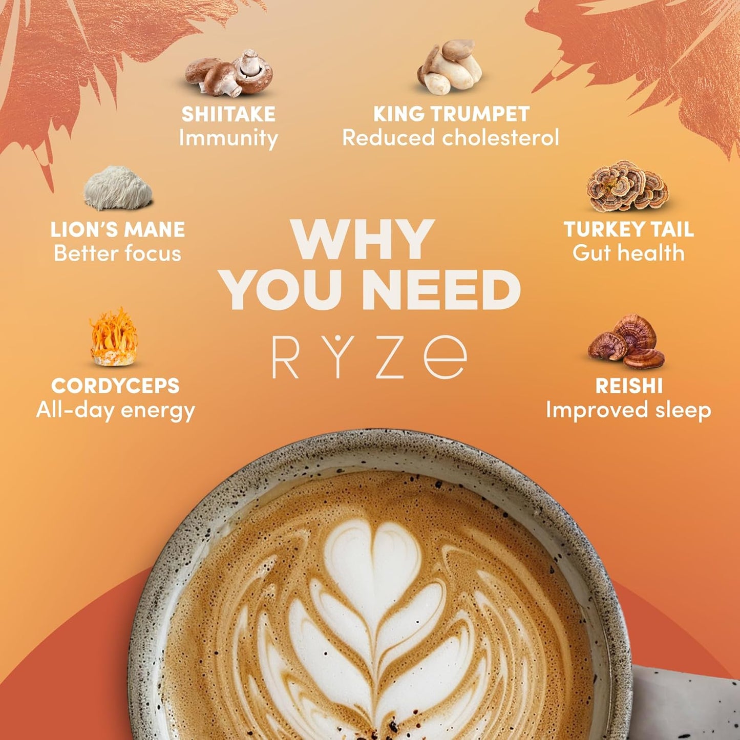 RYZE SUPERFOODS Ultimate Energy Bundle with Mushroom Coffee, Matcha, and Probiotic Creamer | 6 Adaptogenic Mushrooms | USDA Organic | USA Grown | Improved Energy, Focus, Digestion, Immunity | 60 servings
