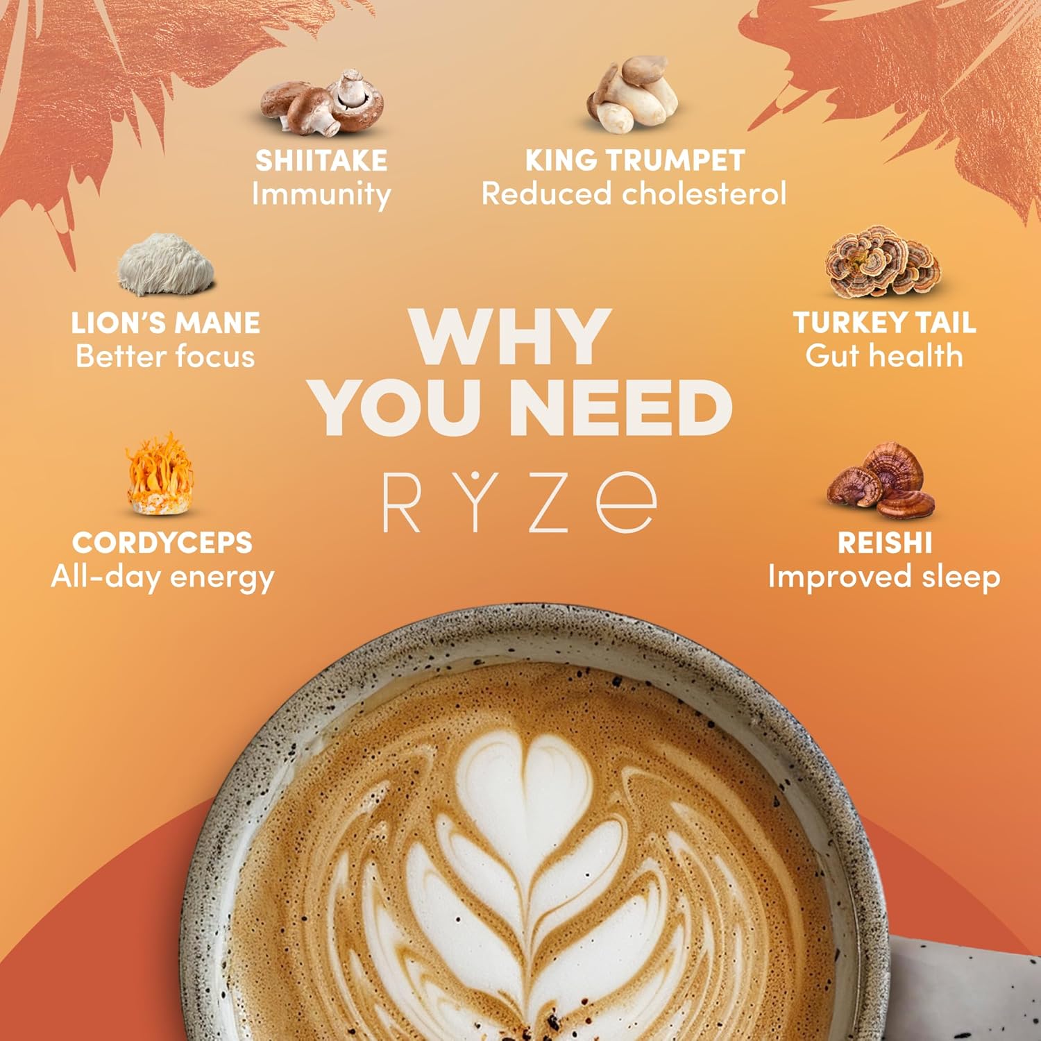 RYZE SUPERFOODS Ultimate Energy Bundle with Mushroom Coffee, Matcha, and Probiotic Creamer | 6 Adaptogenic Mushrooms | USDA Organic | USA Grown | Improved Energy, Focus, Digestion, Immunity | 60 servings