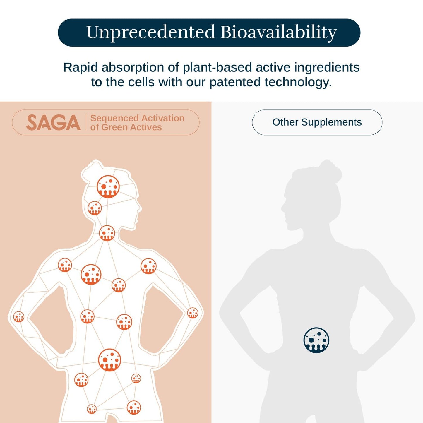 SAGA Organic Primal Focus Chai Latte Shots - Nootropics, Mushrooms, & Kava for Energy & Clarity - 18-Pack with High Bioavailability