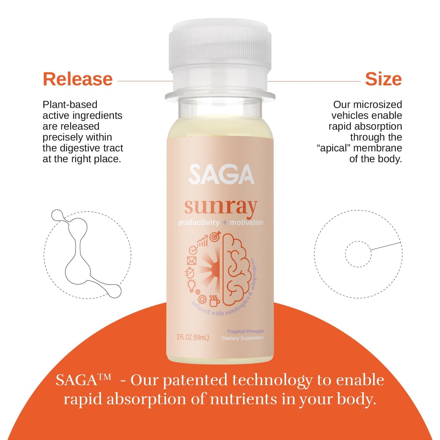 SAGA Organic Primal Focus Chai Latte Shots - Nootropics, Mushrooms, & Kava for Energy & Clarity - 18-Pack with High Bioavailability