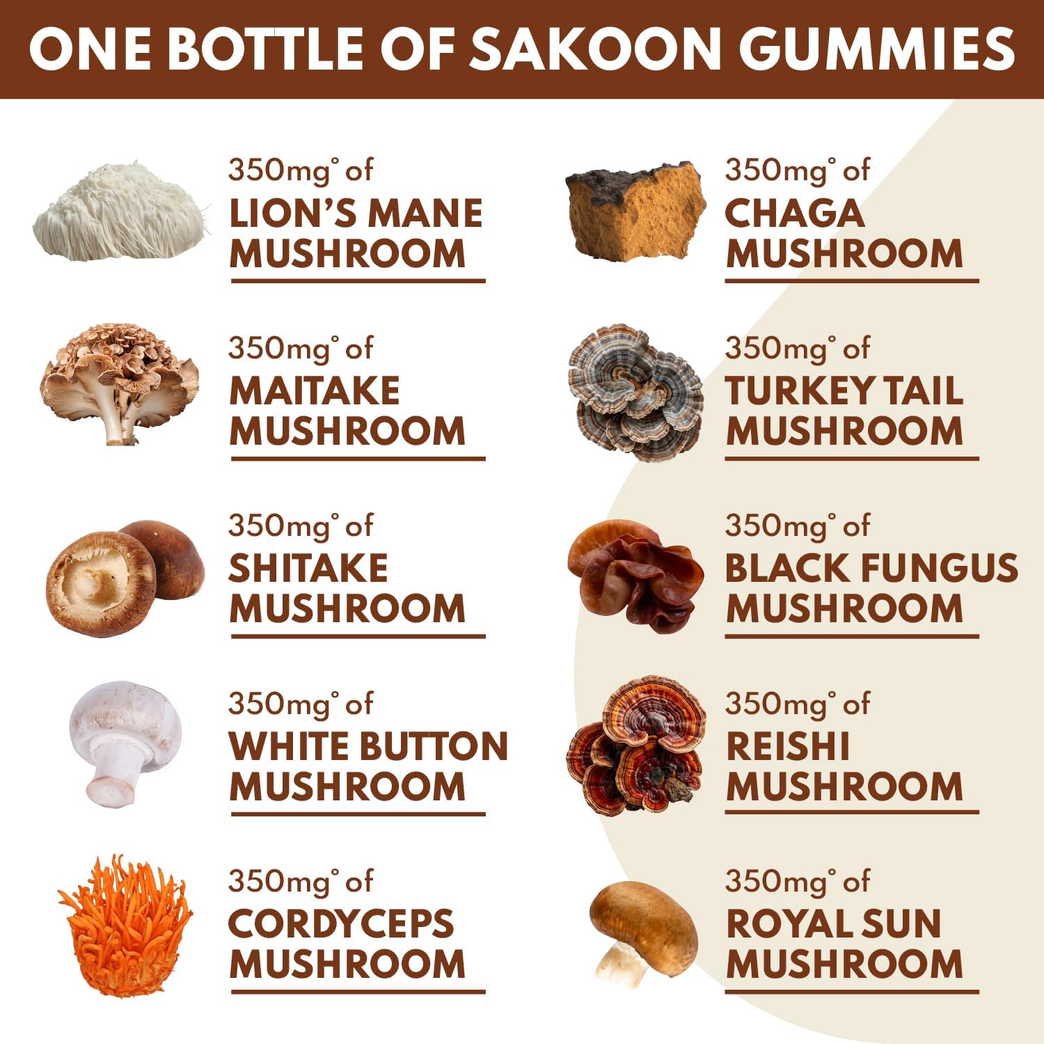 Sakoon Nutrition Lions Mane Mushroom Gummies - 2500mg, 60 Count, Raspberry Flavored with Turkey Tail, Reishi, and More