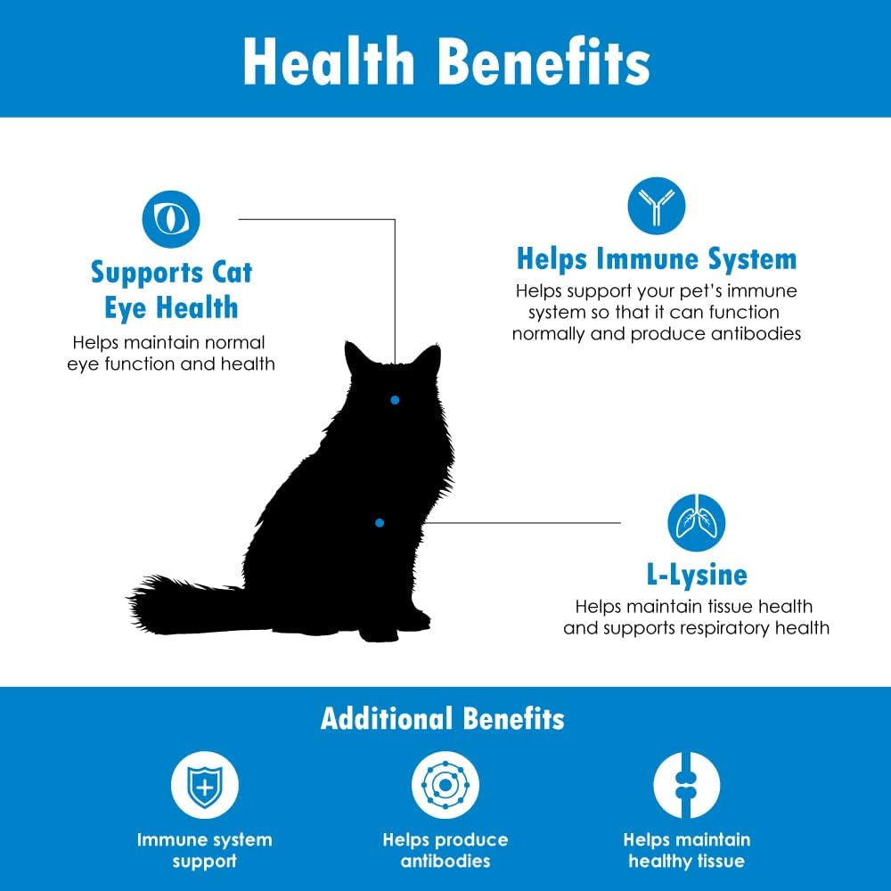 Salmon-Flavored Felisyl L-Lysine Gel for Cats - 6-Pack, 30 oz - USA-Made Supplement for Healthy Tissue, Respiratory Health, and Vision Support - Immune Boosting Formula