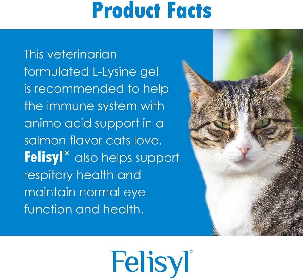 Salmon-Flavored Felisyl L-Lysine Gel for Cats - 6-Pack, 30 oz - USA-Made Supplement for Healthy Tissue, Respiratory Health, and Vision Support - Immune Boosting Formula