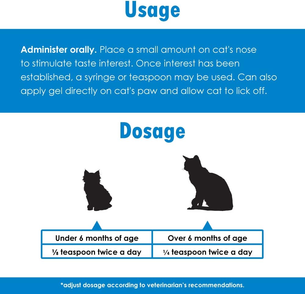 Salmon-Flavored Felisyl L-Lysine Gel for Cats - 6-Pack, 30 oz - USA-Made Supplement for Healthy Tissue, Respiratory Health, and Vision Support - Immune Boosting Formula