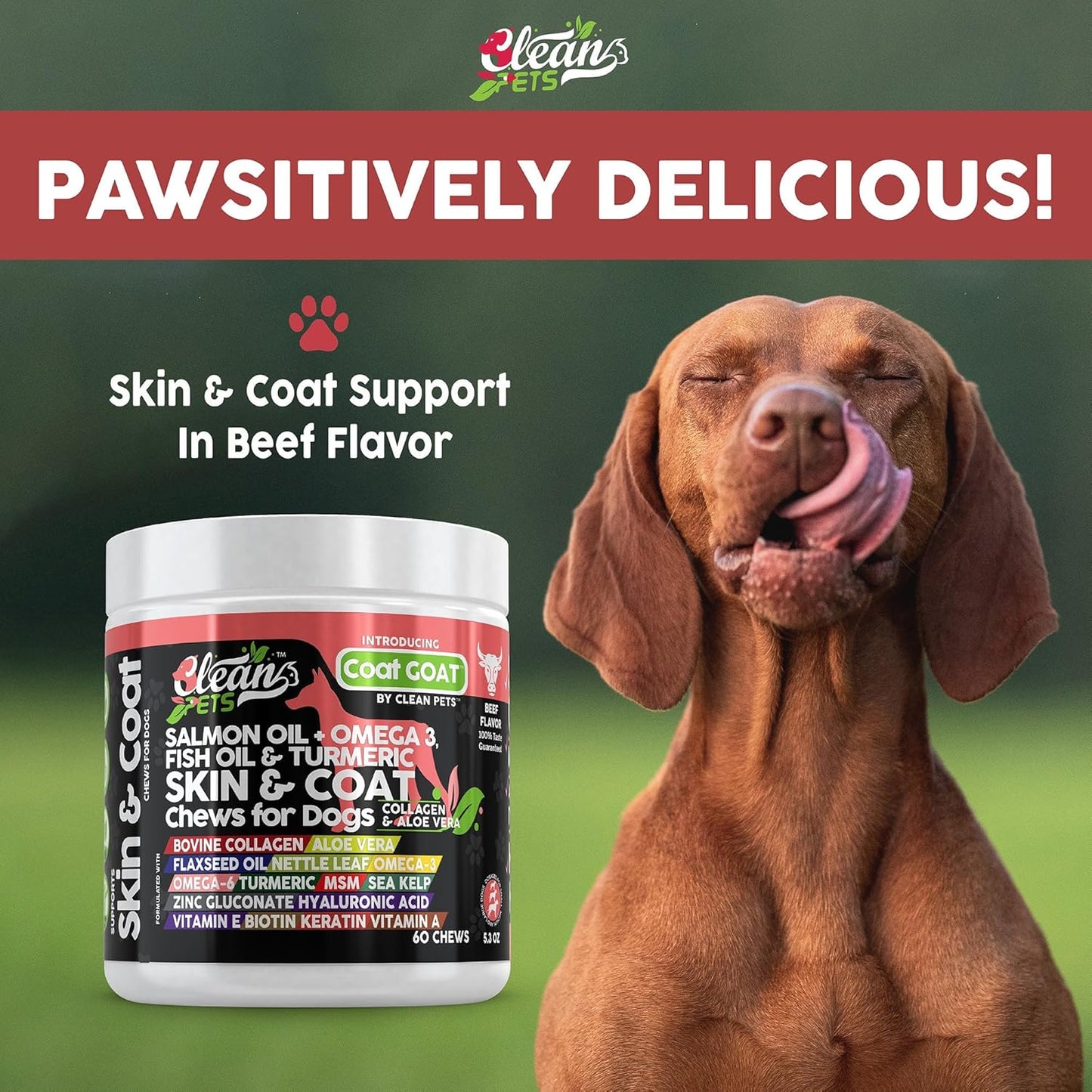 Salmon Oil Omega 3 Skin and Coat Supplement for Dogs with Collagen, Aloe Vera, Biotin, and Vitamins