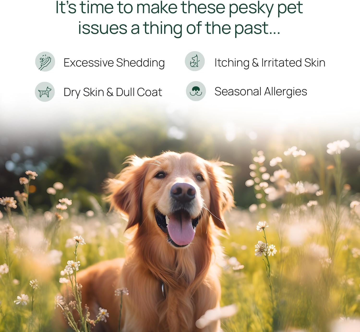 Salmon Oil Supplement for Dogs and Cats - Helps Control Shedding, Allergies, and Itchy Skin - Rich in Omega-3 and Omega-6 Fatty Acids