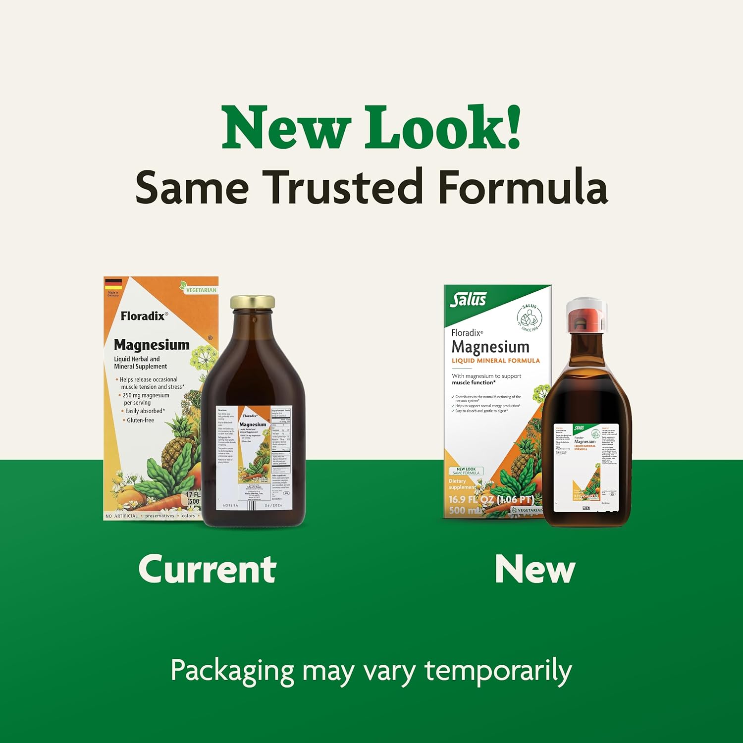 Salus Floradix Iron & Herbs Liquid Supplement Combo Pack - 23 oz Iron and 17 oz Magnesium