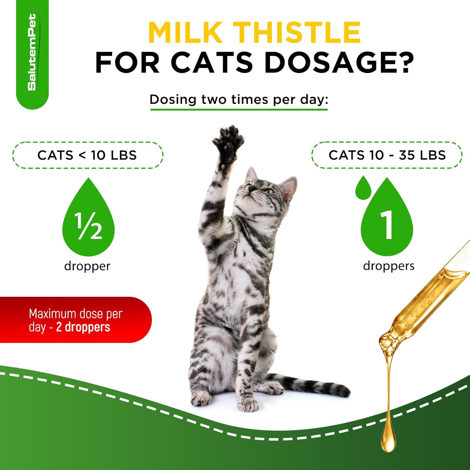 SalutemPet Cat Kidney Support Supplement with Milk Thistle for Cats - Herbal Solution for All Breeds - Chicken Flavor - 2 Oz