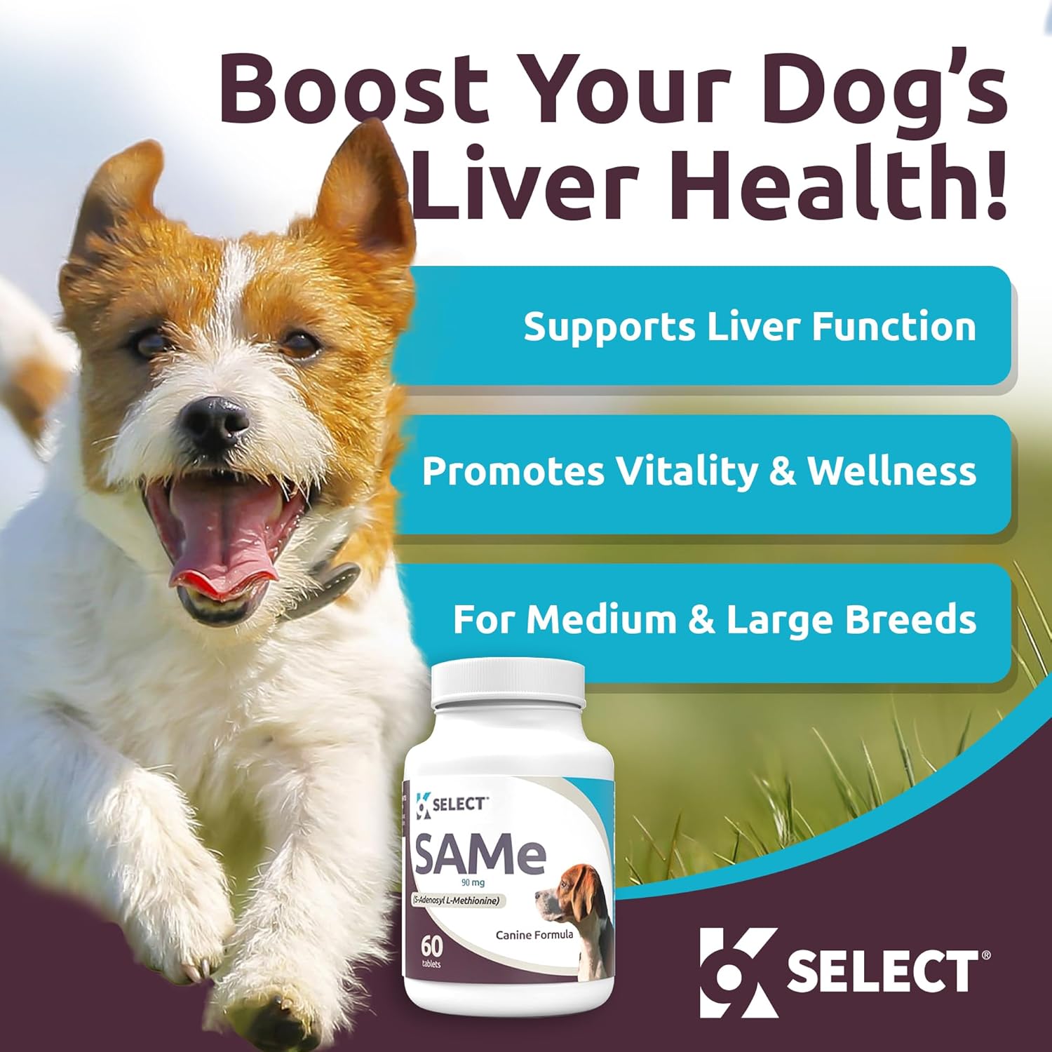 SAM-e Supplement for Small to Medium Adult Dogs - 60 Tablets with 90mg Active S-Adenosyl L-Methionine - Supports Hepatic Health, Cognitive Function, and Cell Growth - Multivitamin for Dogs