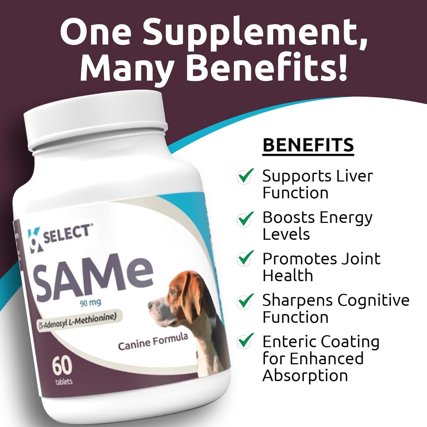 SAM-e Supplement for Small to Medium Adult Dogs - 60 Tablets with 90mg Active S-Adenosyl L-Methionine - Supports Hepatic Health, Cognitive Function, and Cell Growth - Multivitamin for Dogs