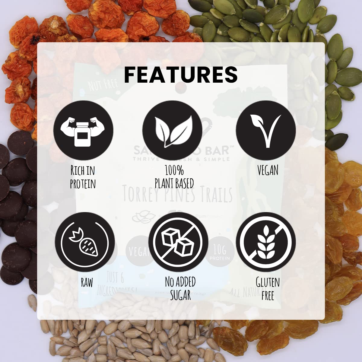 San Diego Bar-Torrey Pines Trails Vegan Protein Bars with Pumpkin and Sun Flower Seeds - Gluten and Sugar Free, Breakfast, Energy, and Snack Bars with 6 Whole Food Ingredients