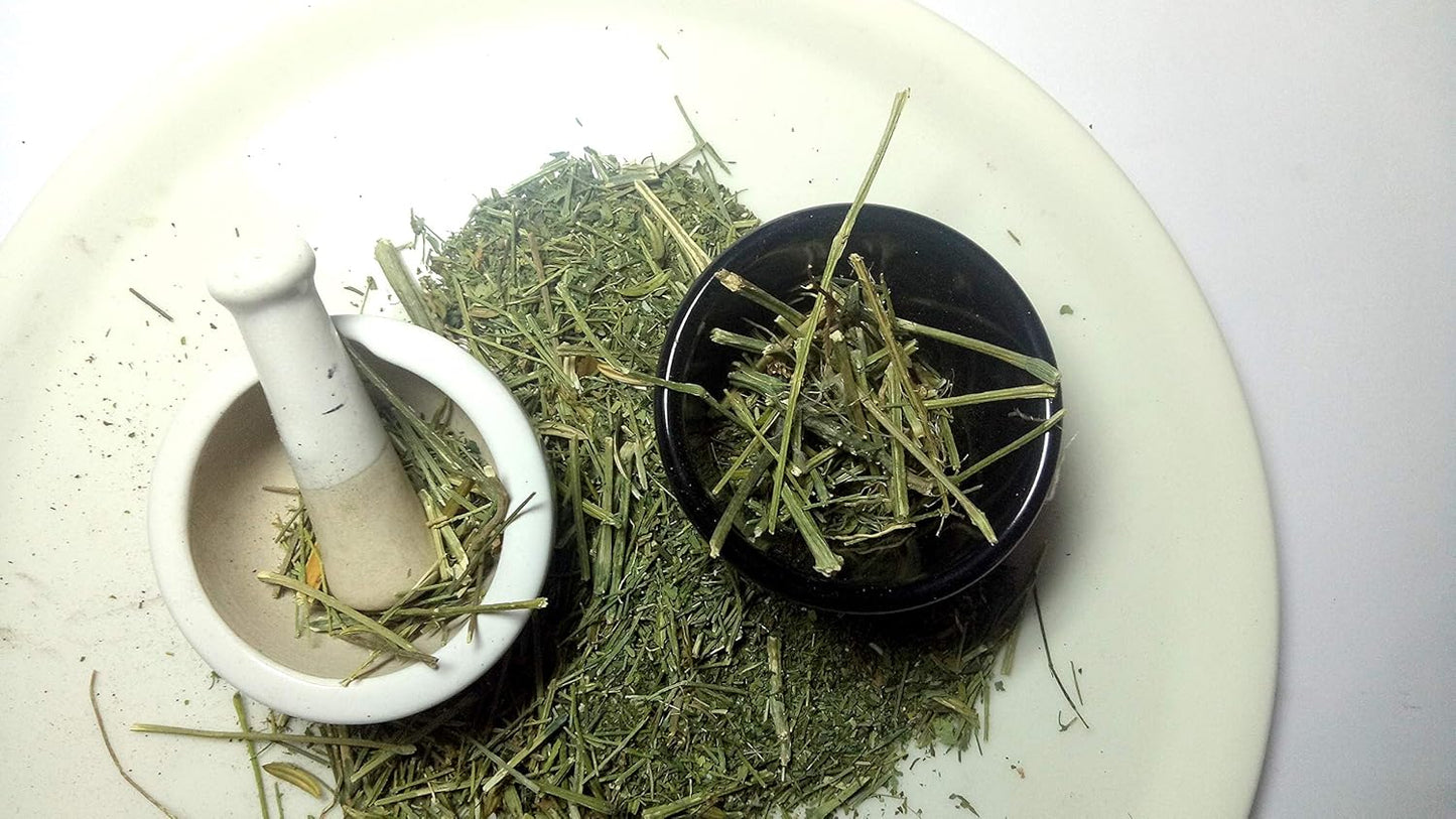 Sanaa Zesty Swertia Chirayata Herbal Ayurvedic Supplement (4 Pack)