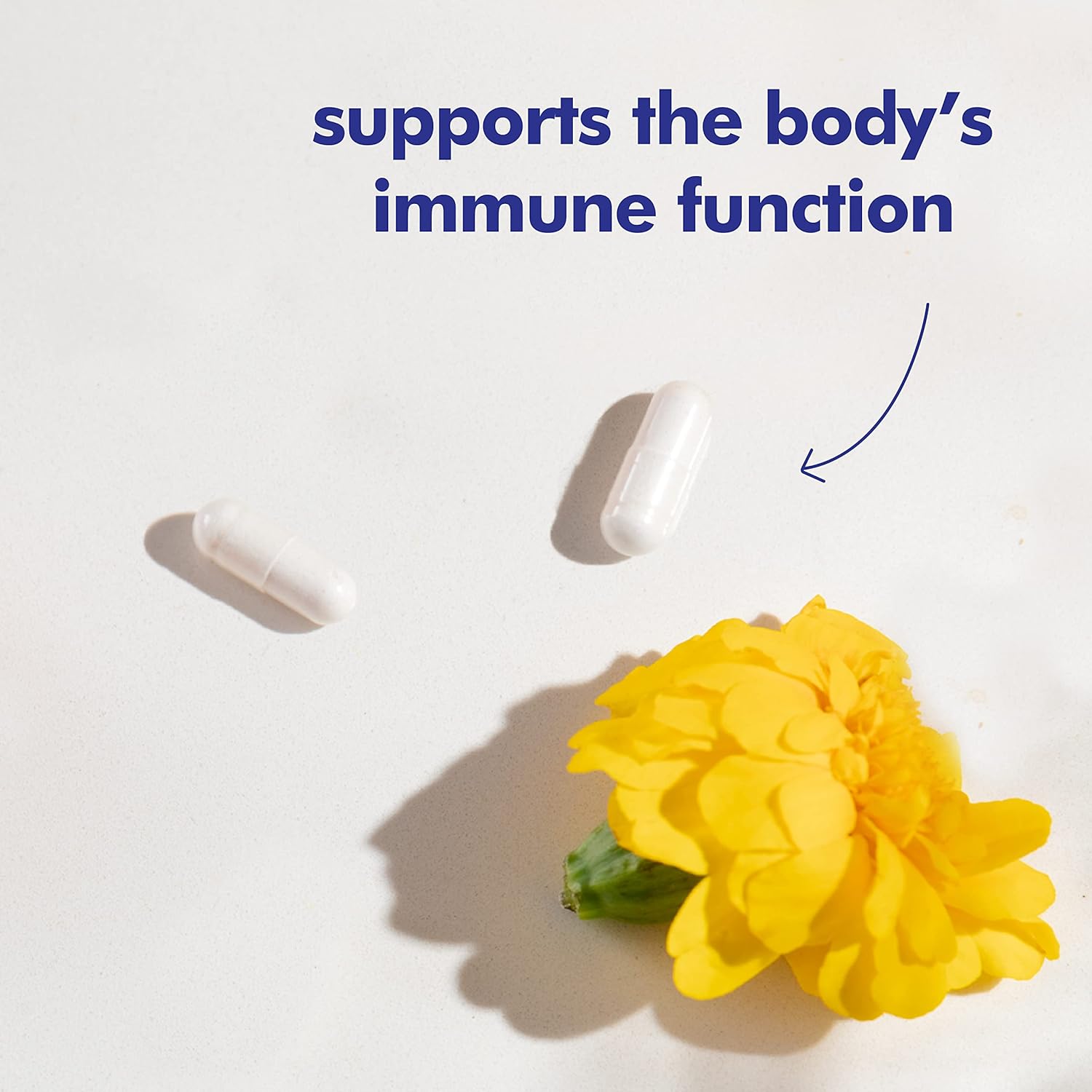 Santo Remedio Immune Support Vitamin C Supplement, 1000mg, 120 Capsules
