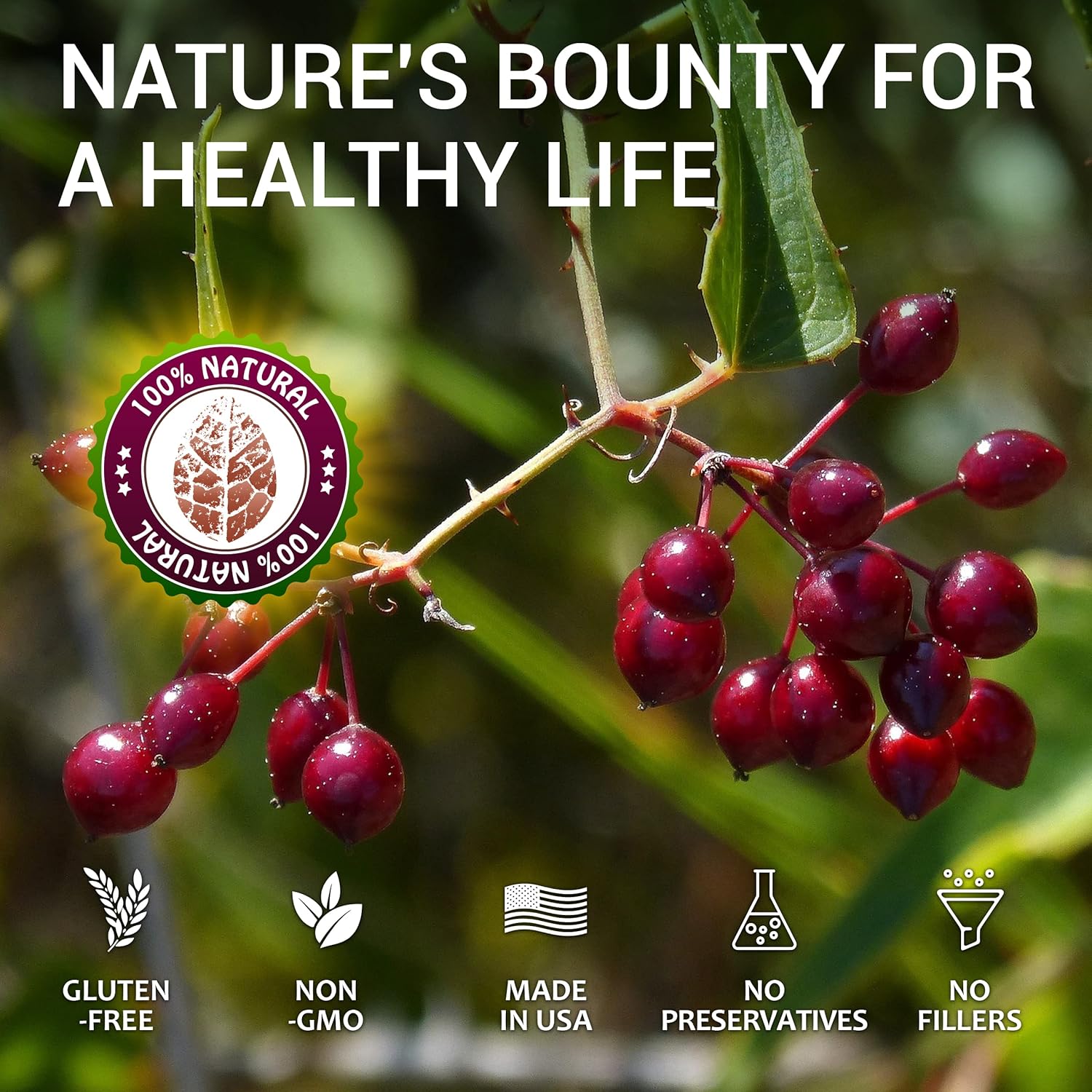 Sarsaparilla Extract (Hemidesmus indicus) Herbal Supplement for Immunity, Skin & Wellness - Non-GMO - Gluten-Free - Made in USA - 2 Fl Oz