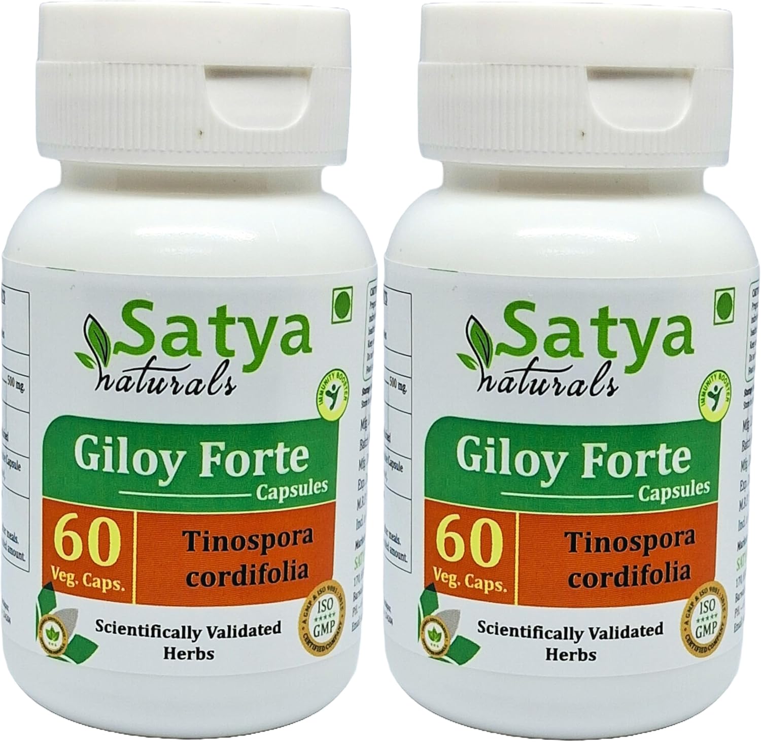 Satya Naturals Giloy Forte Capsules 500mg - 120 Veg Capsules, Guduchi Extract for Men and Women, Ayurvedic Herbal Supplement