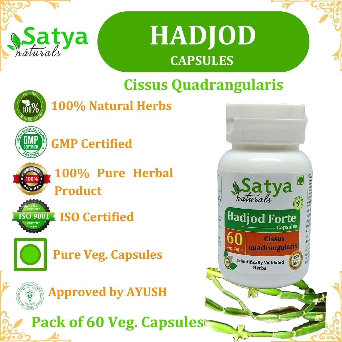 Satya Naturals Hadjod Forte Capsules 500mg - Ayurvedic Herbal Supplement for Men and Women - Cissus Quadrangularis Extract - 60 Veg Capsules