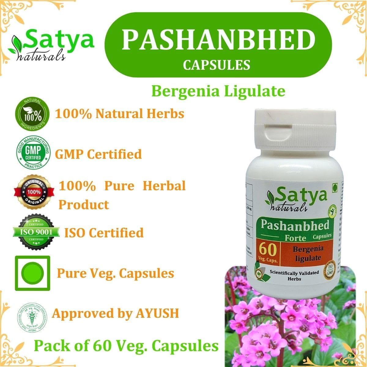 Satya Naturals Pashanbhed Extract Capsules 500mg - 60 Veg Capsules - Ayurvedic Remedy for Men and Women - 10:1 Forte - 1 Bottle of 60 Capsules