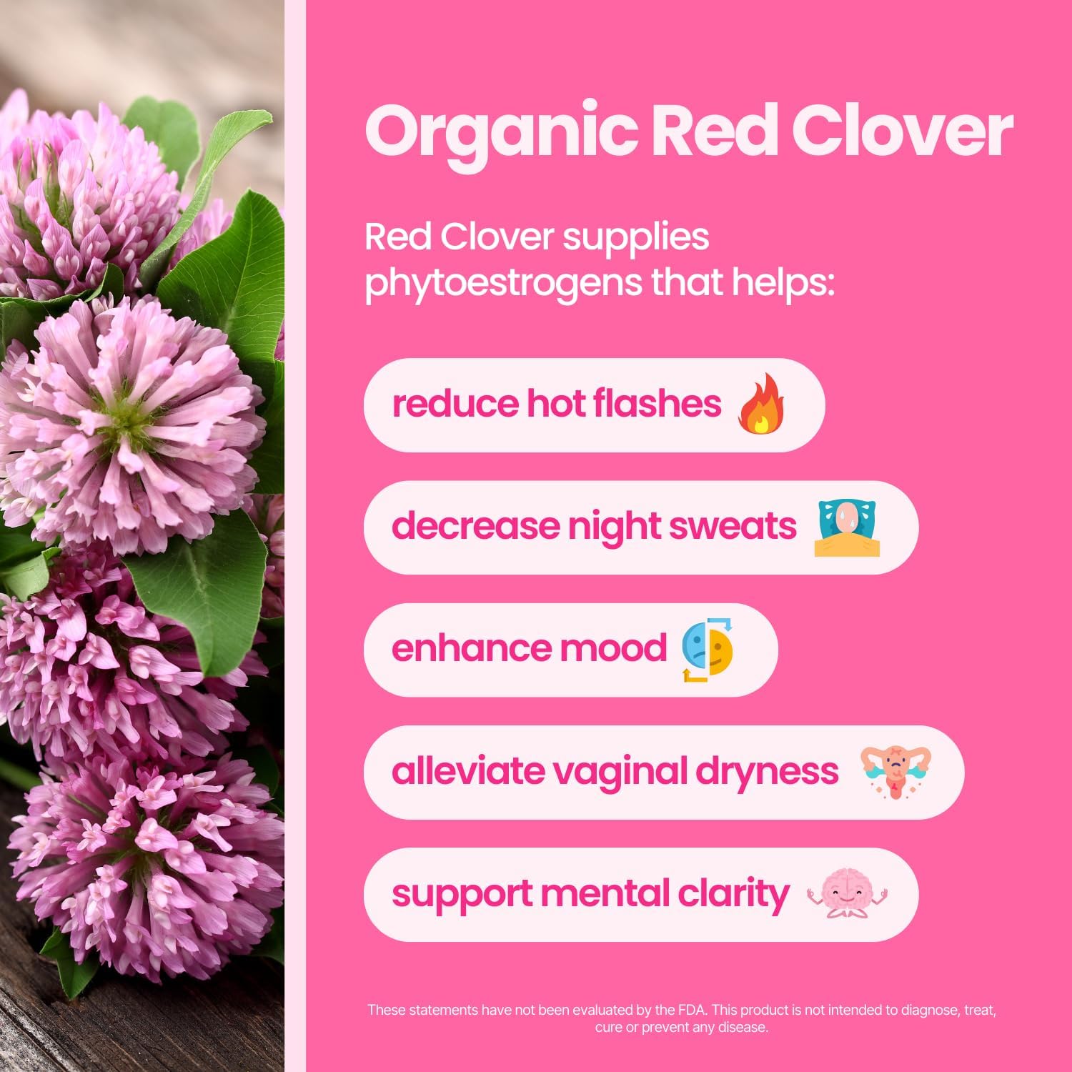 Save 10% on Menopause Support Tea 2-Pack Bundle with Red Clover & Black Cohosh for Night Sweats & Hot Flashes Relief - Peach Flavor - 90 Teabags