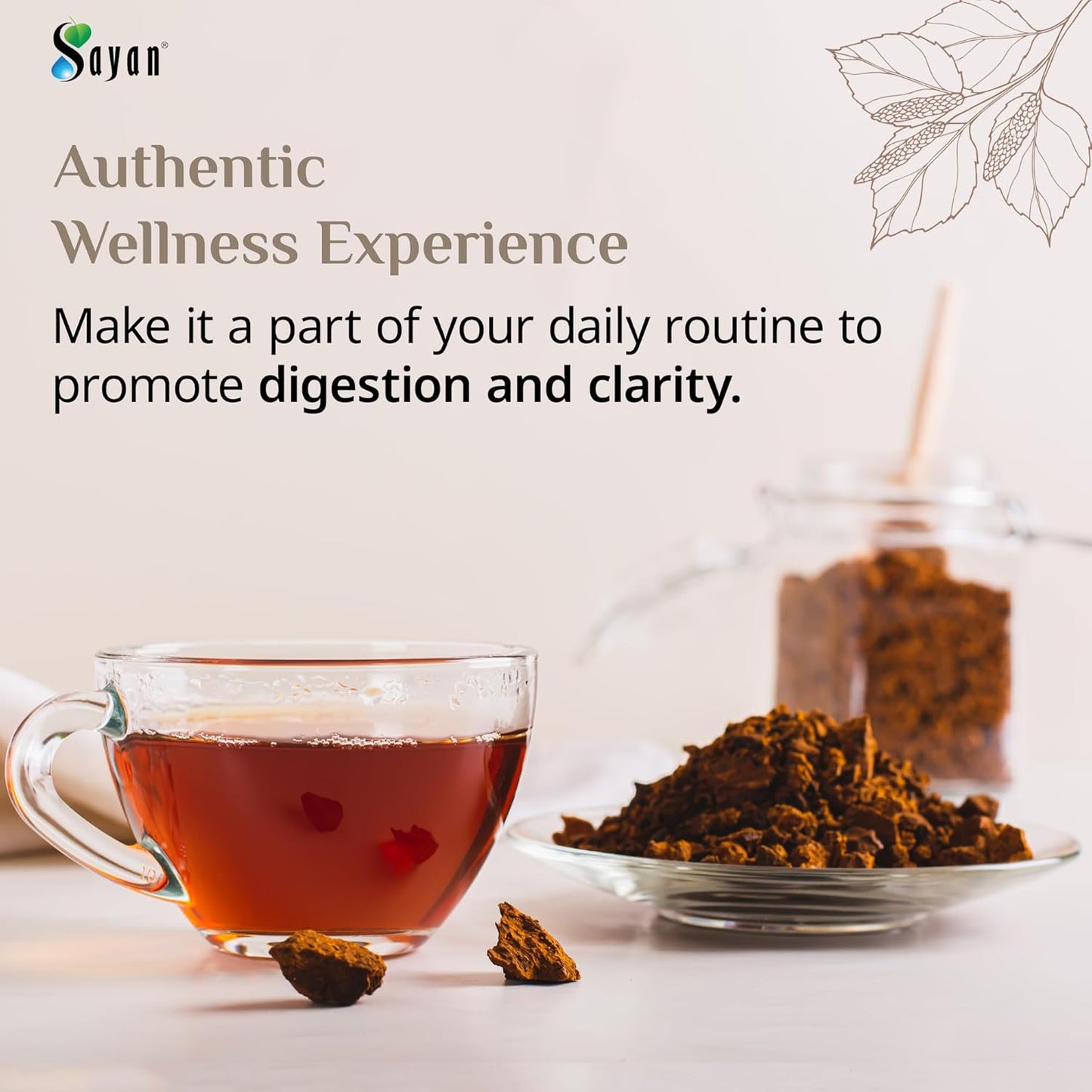 Sayan Siberian Wild Harvested Chaga Powder 8 Oz - Premium Antioxidant Tea for Immune System & Digestive Health - Non-GMO