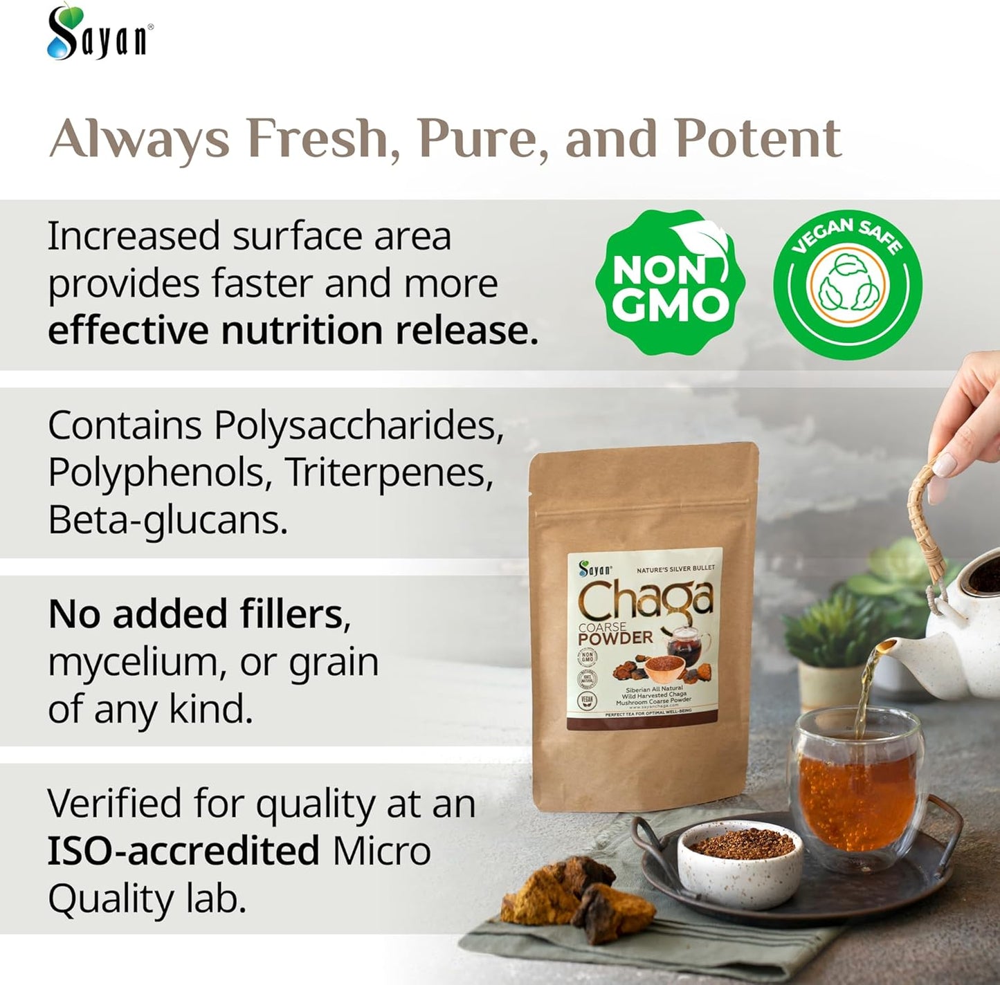 Sayan Siberian Wild Harvested Chaga Powder 8 Oz - Premium Antioxidant Tea for Immune System & Digestive Health - Non-GMO