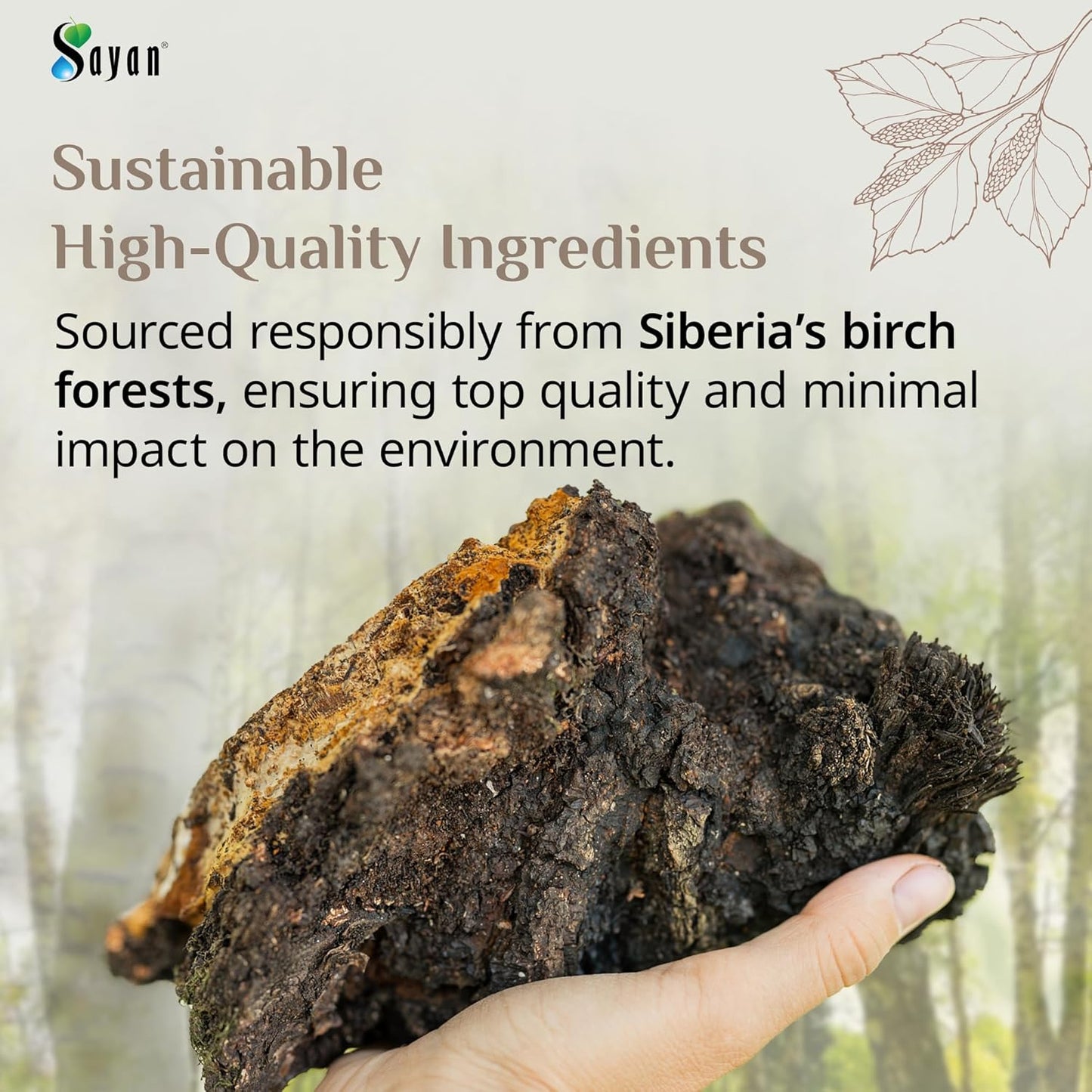 Sayan Siberian Wild Harvested Chaga Powder 8 Oz - Premium Antioxidant Tea for Immune System & Digestive Health - Non-GMO