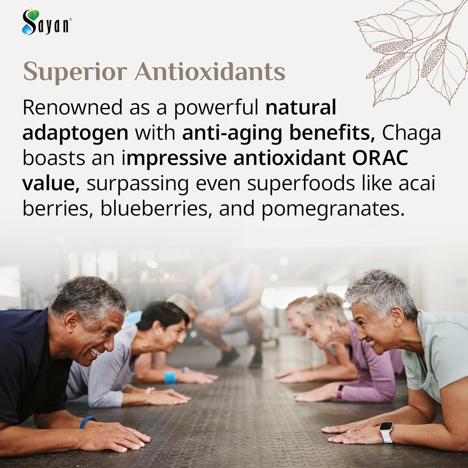 Sayan Siberian Wild Harvested Chaga Powder 8 Oz - Premium Antioxidant Tea for Immune System & Digestive Health - Non-GMO