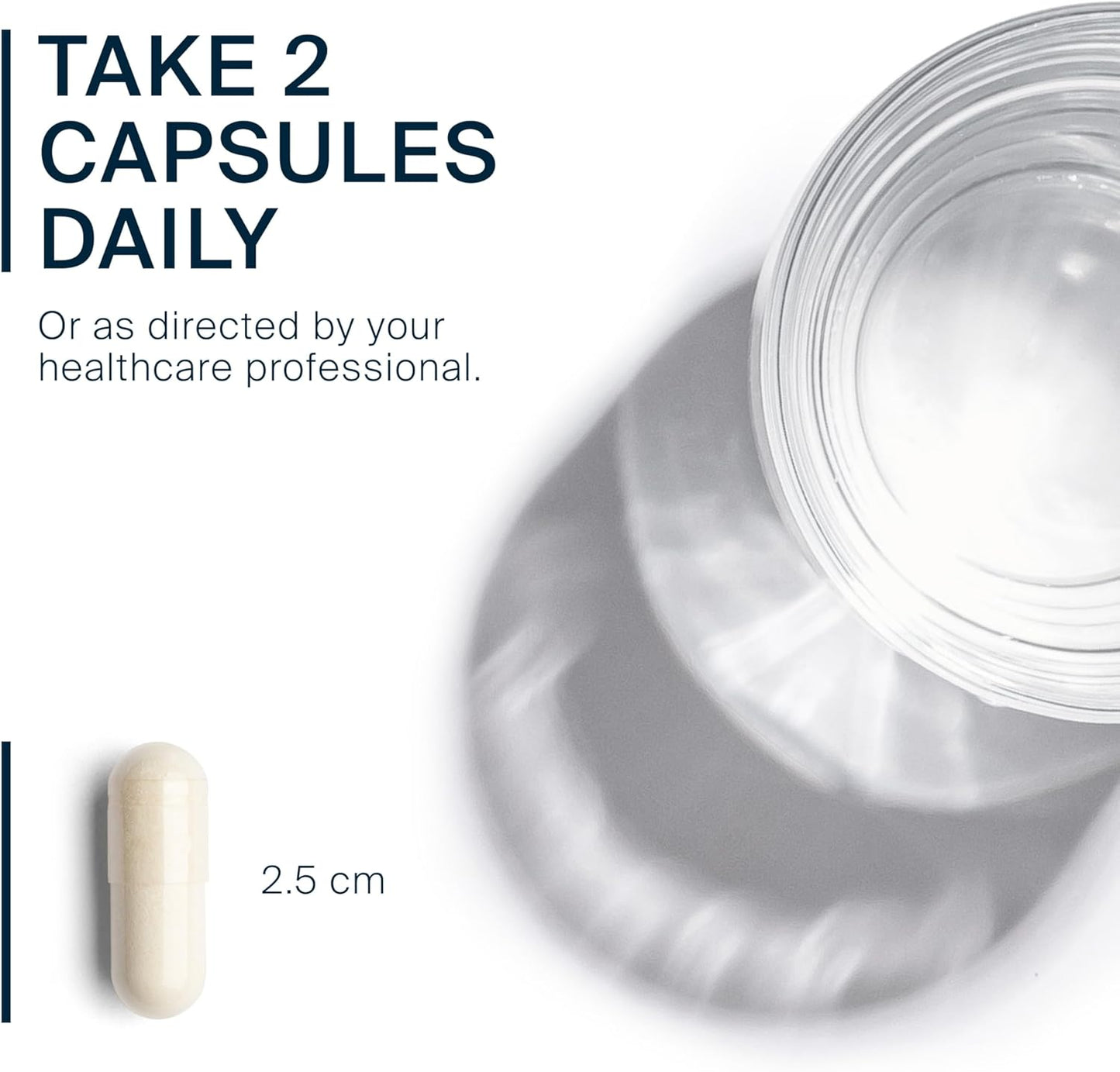 Schisandra Extract Capsules - Supports Liver, Immune System, Energy, and Endurance - 90 Vegetarian Capsules - 1000 mg