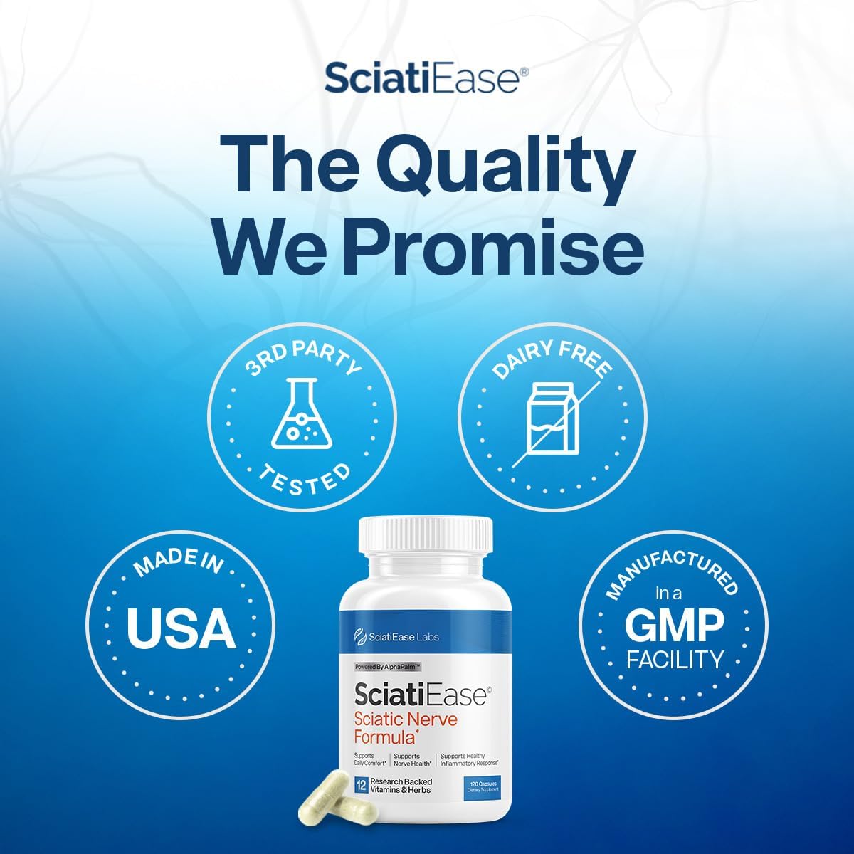 SciatiEase Supplement for Sciatic Nerve Health - Nerve Support Formula with AlphaPalm, Pea, Vitamin B Complex, Alpha Lipoic Acid - 120 Capsules