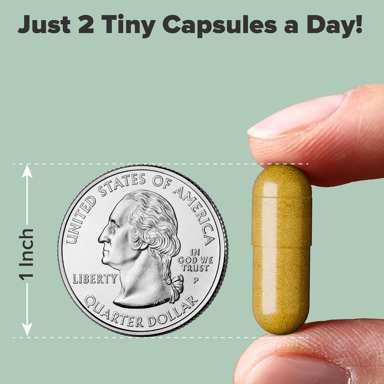 SciatiGuard Sciatica Supplement - Nerve Support Capsules with Vitamins and Minerals for Back Comfort - 60 Capsules