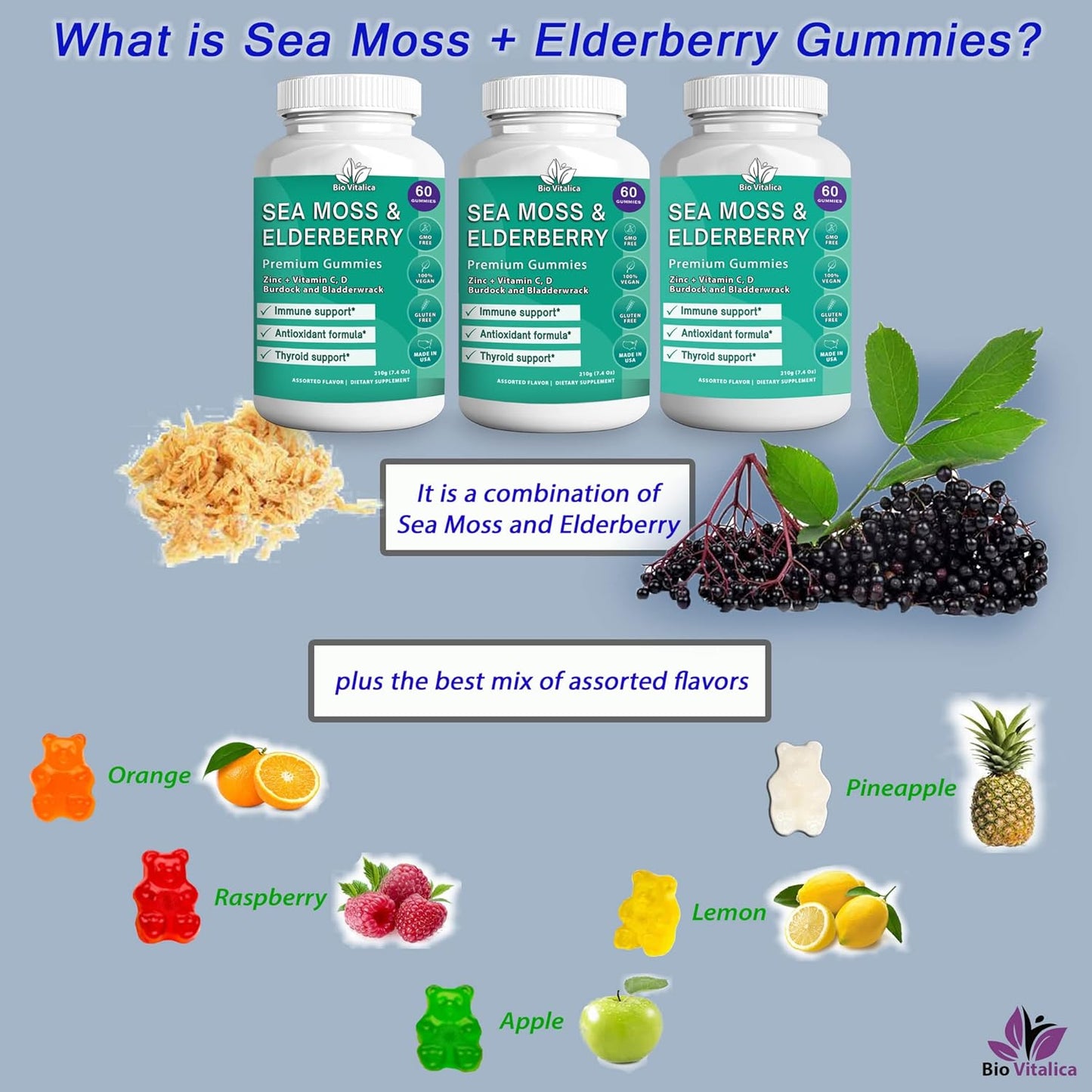 Sea Moss and Elderberry Gummies Bundle - BioVitalica Parent Pack (3)