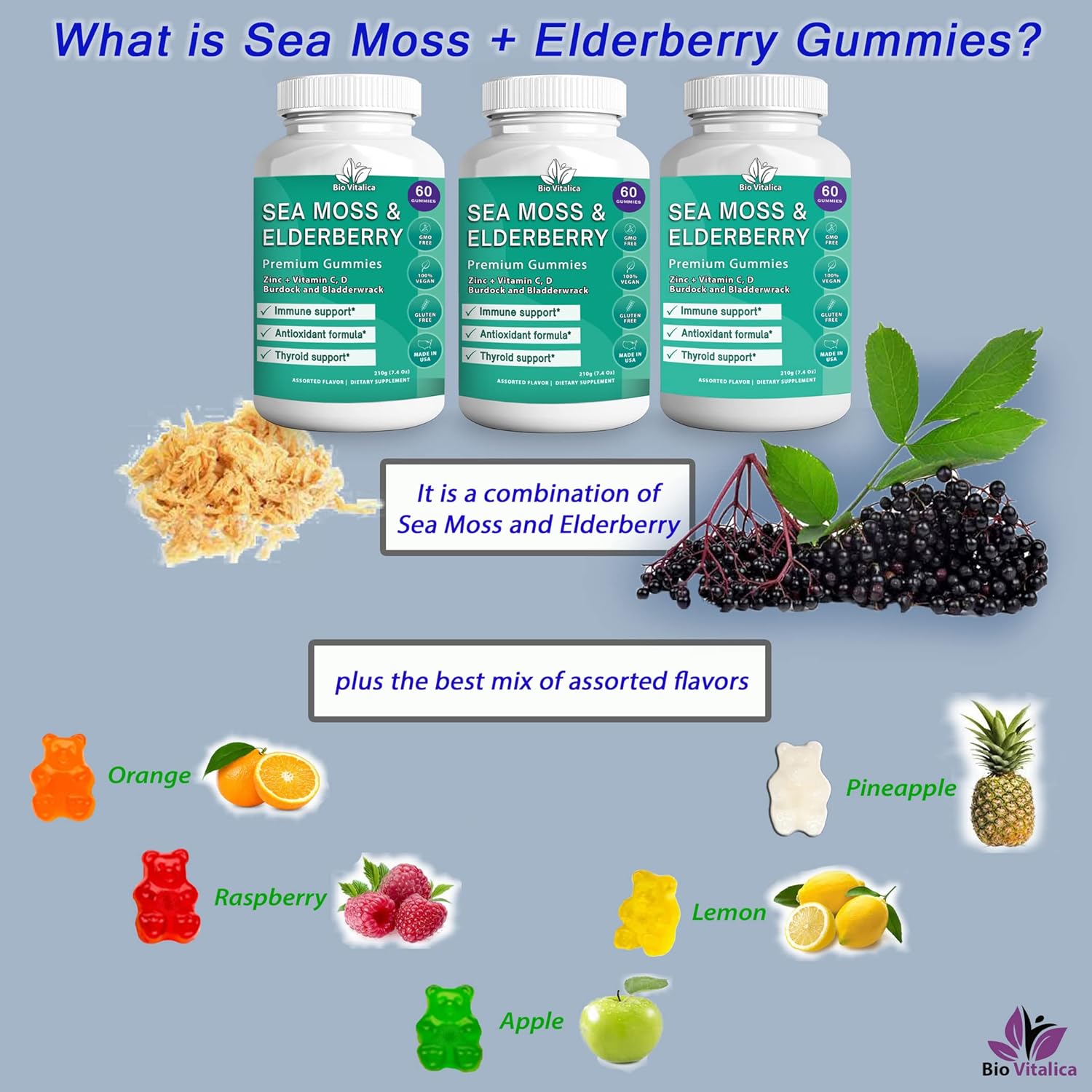 Sea Moss and Elderberry Gummies Bundle - BioVitalica Parent Pack (3)