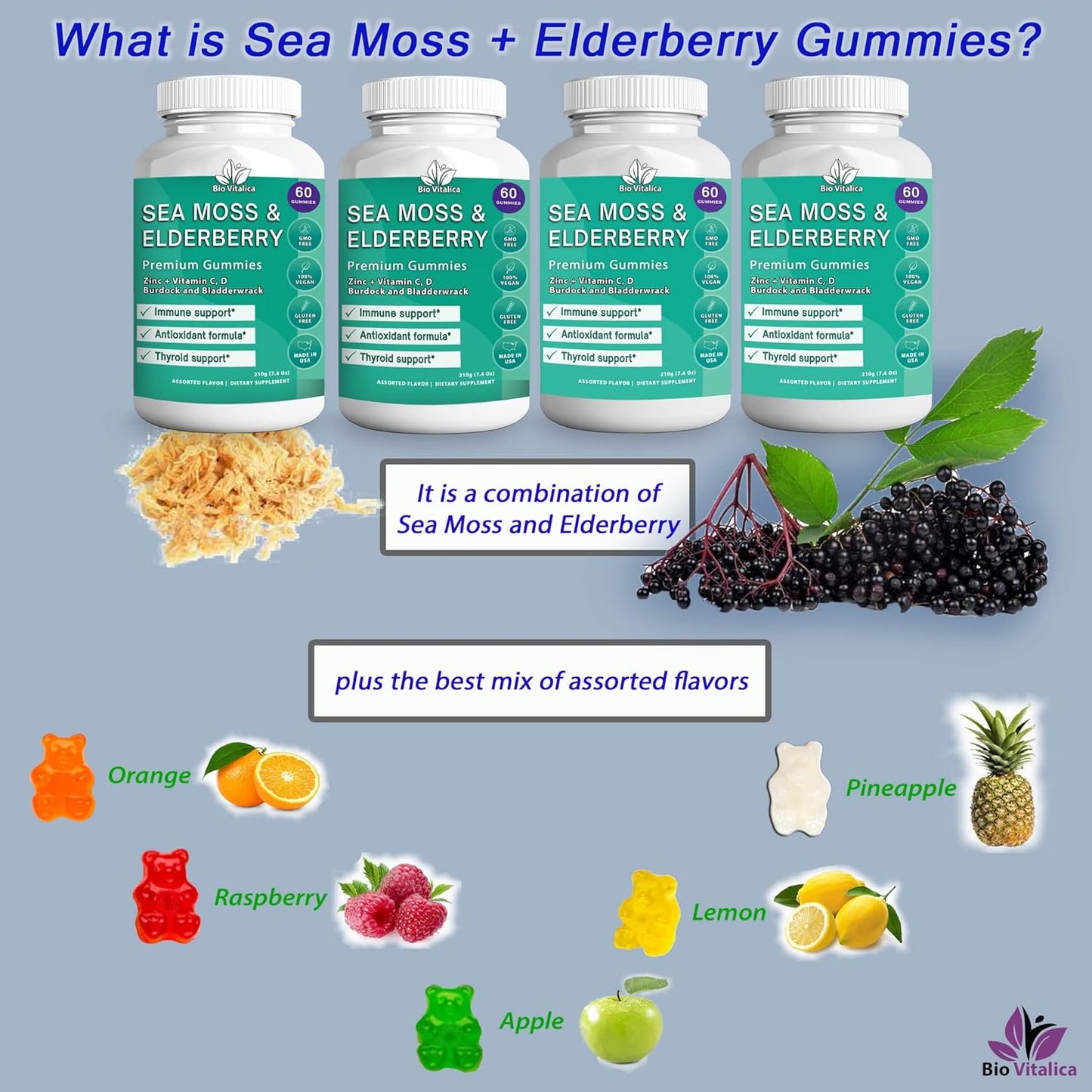 Sea Moss and Elderberry Gummies by BIO VITALICA - Parent Pack of 4