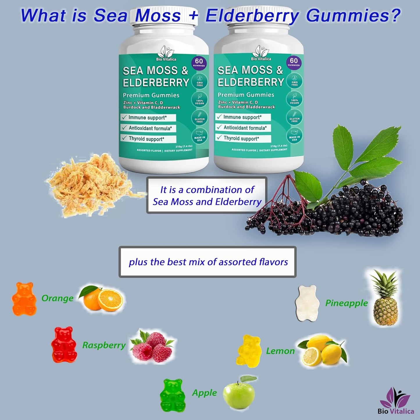 Sea Moss and Elderberry Gummies by BIO VITALICA: 2-Pack - Parent Brand