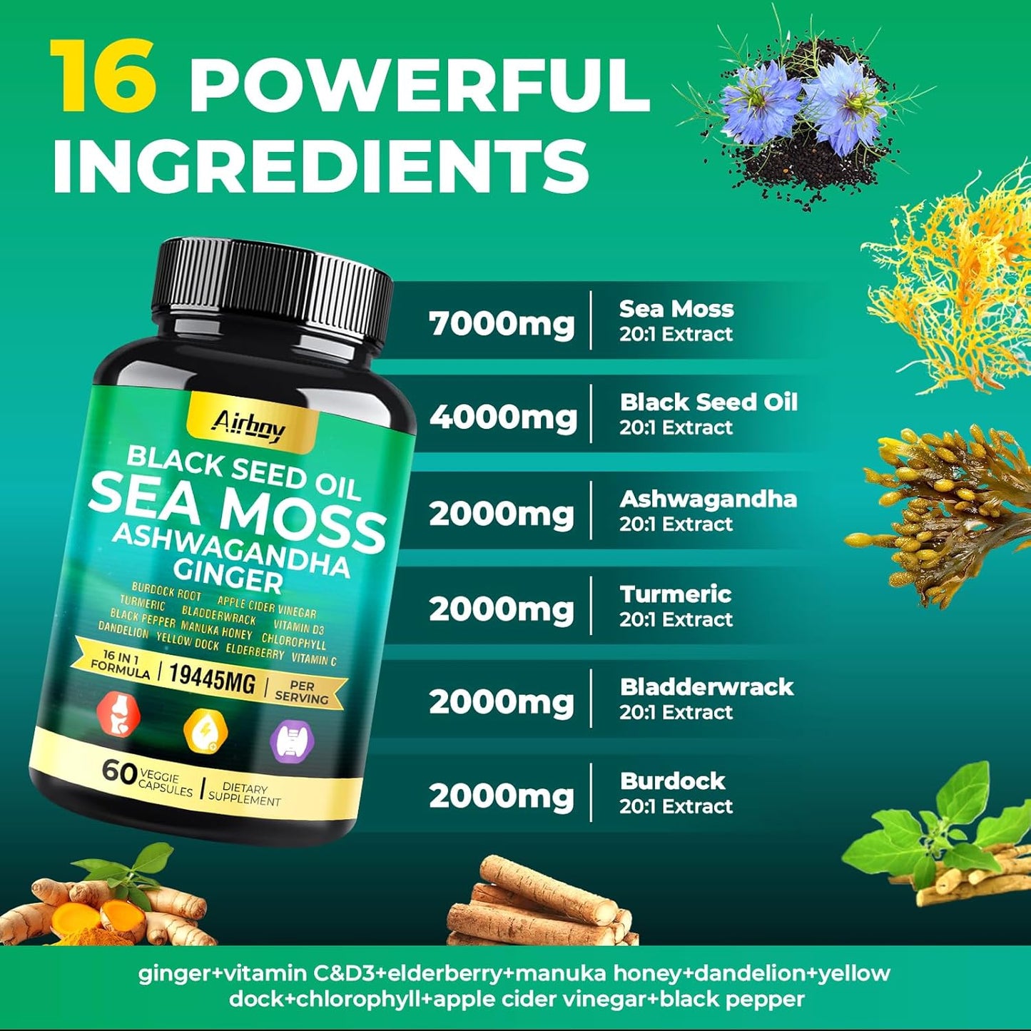 Sea Moss, Black Seed Oil, Ashwagandha, Turmeric, Bladderwrack Capsules with Ginger, Vitamin C, D3, Elderberry, Manuka, Dandelion, Yellow Dock, Chlorophyll for Men & Women