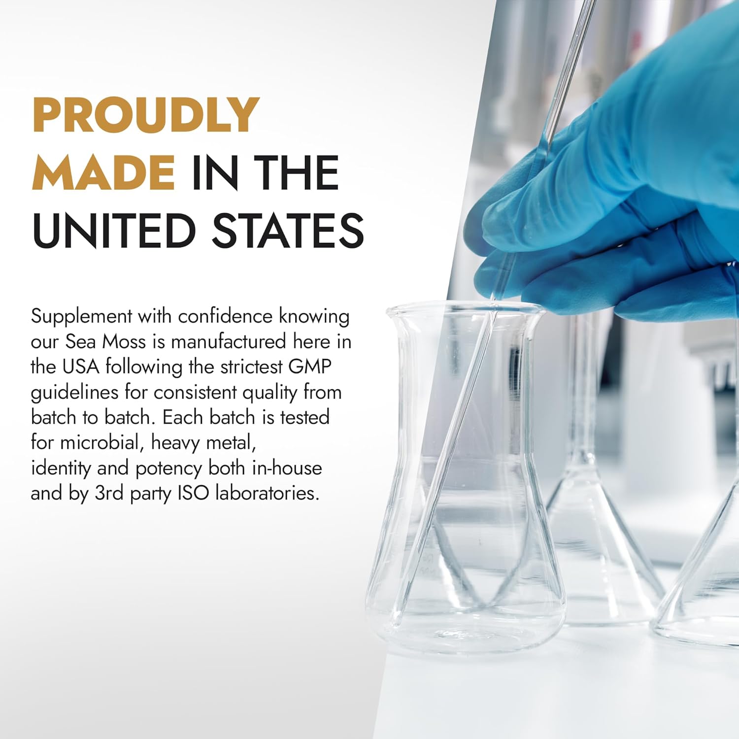 Sea Moss Capsules with Superfoods for Energy, Immune Support, and Detox (180 Count) - 30,000mg - 2 Bottles