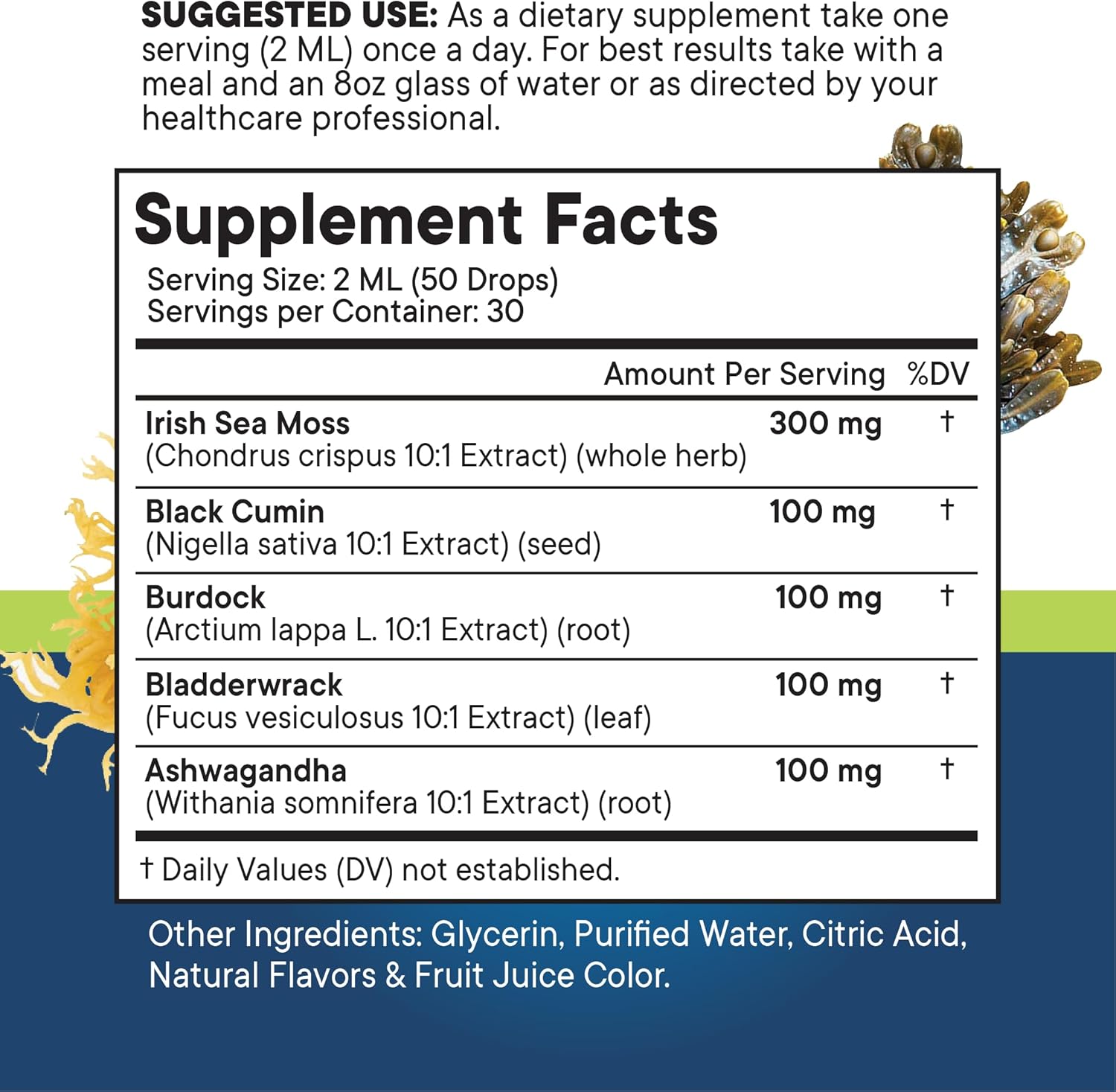 Sea Moss Liquid Drops Supplement with Black Seed Oil, Ashwagandha, Burdock Root, Bladderwrack, Silica, Multiminerals - Non-GMO Vegan - 2 Pack