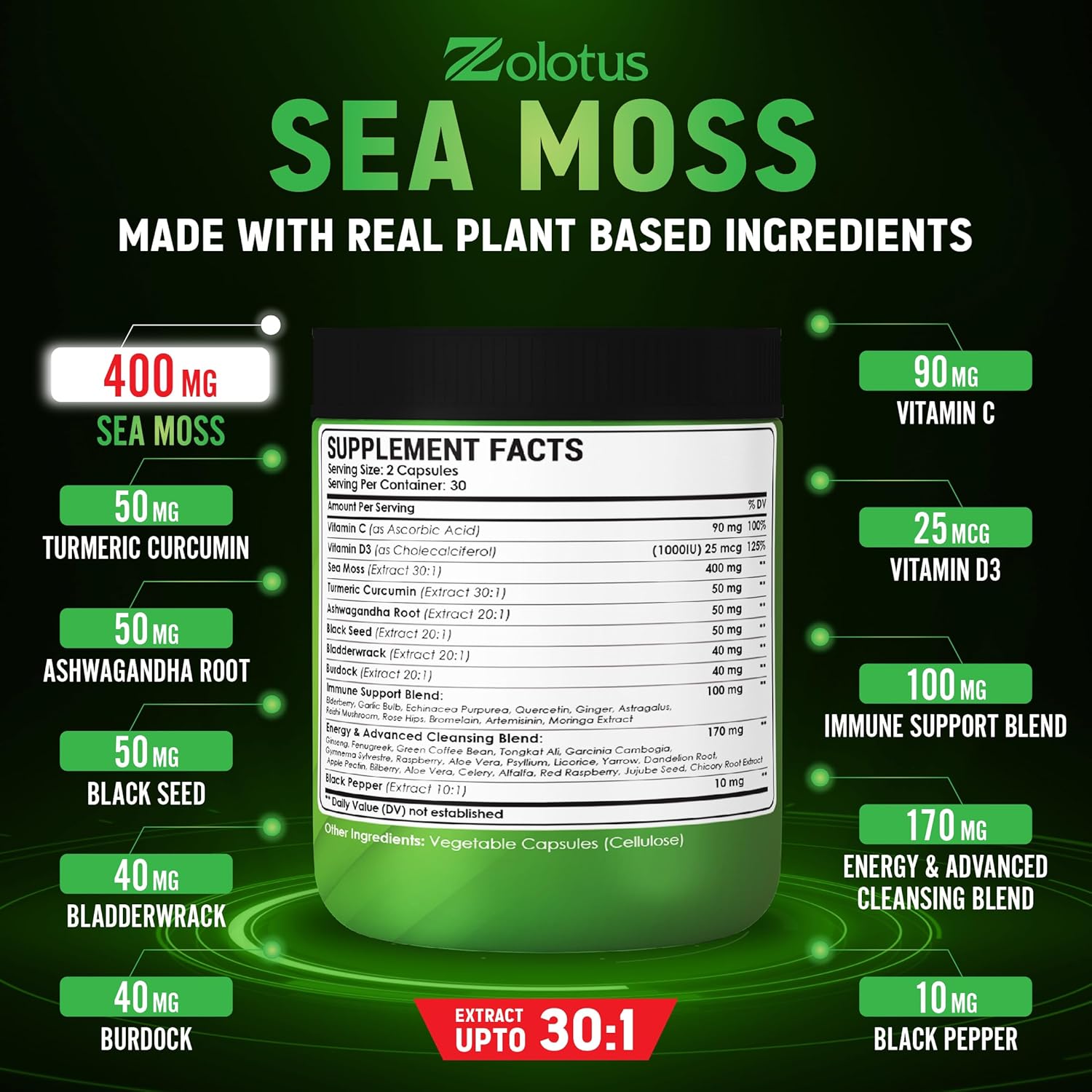 Sea Moss Supplement 40 in 1 with Turmeric, Ashwagandha, Bladderwrack - 2 Packs (60 Capsules) for Immune System, Body Balance, Heart Health