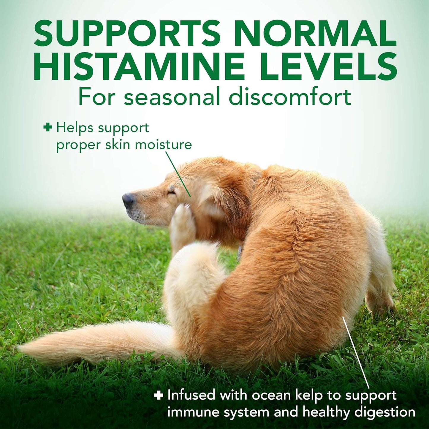 Seasonal Allergy Relief Soft Chews for Dogs | Soothes Skin Irritation from Allergies | 30 Day Supply