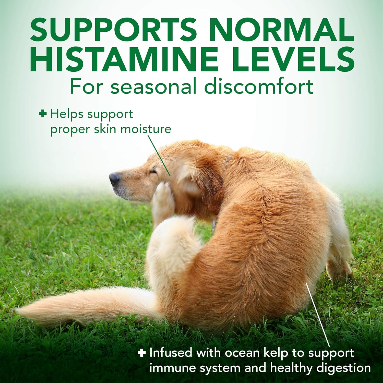 Seasonal Allergy Relief Soft Chews for Dogs | Soothes Skin Irritation from Allergies | 30 Day Supply