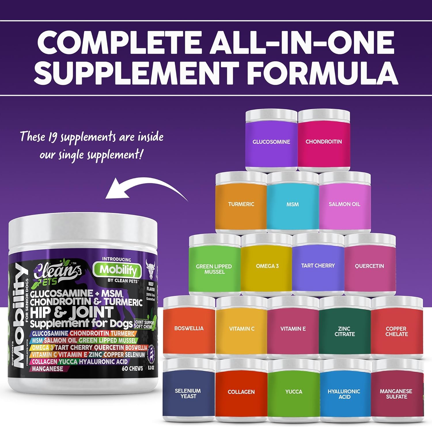 Senior Dog Hip and Joint Supplement with Glucosamine, Chondroitin, Turmeric, MSM, Salmon Oil, Collagen, and Omega 3 - Beef Flavor - 1 Pack