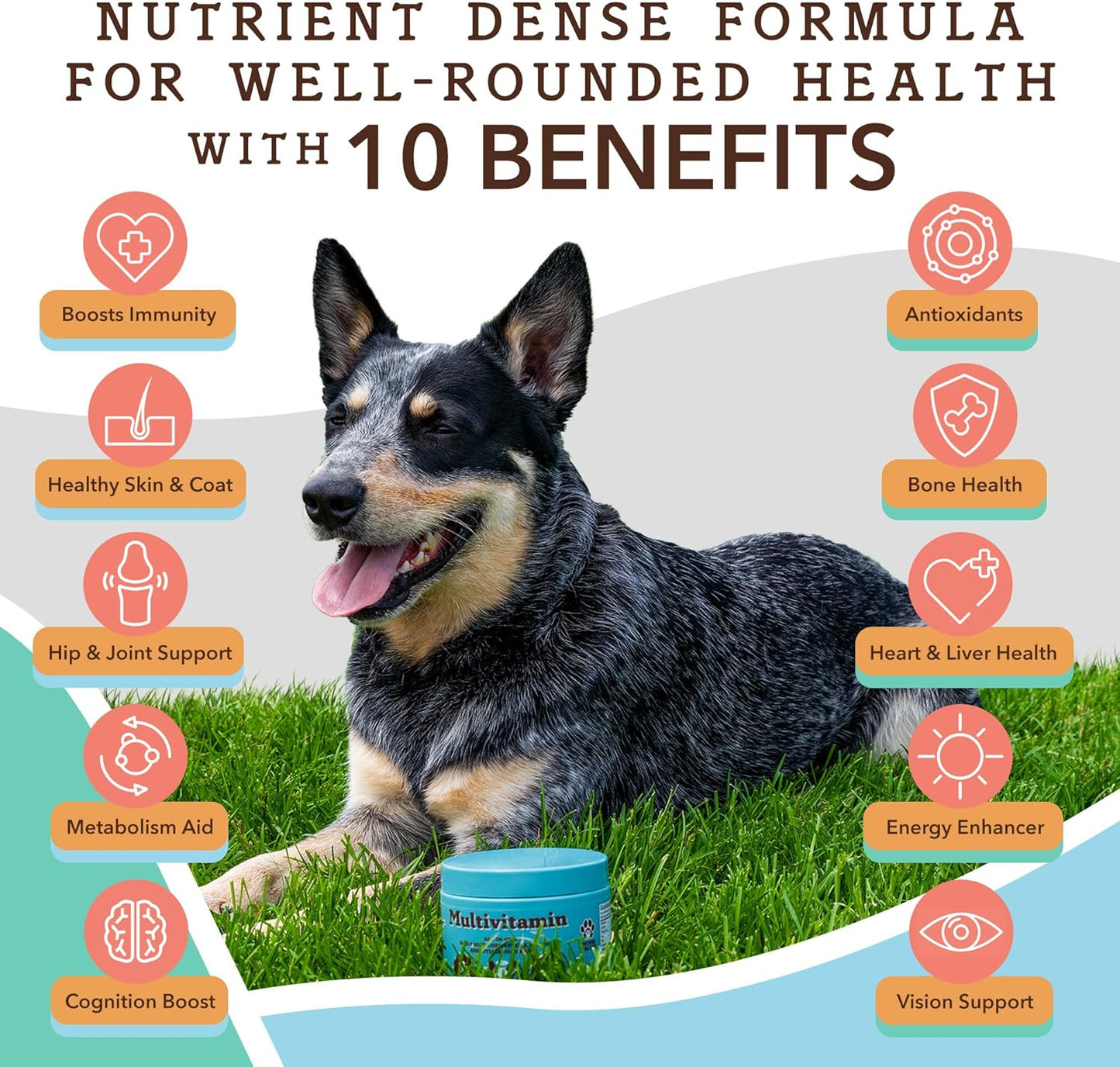 Senior Dog Immune Support Bundle: Multivitamin Chews & Atlantic Salmon Oil - Joint Care & Cognitive Health - 90 Chews + 16oz Oil