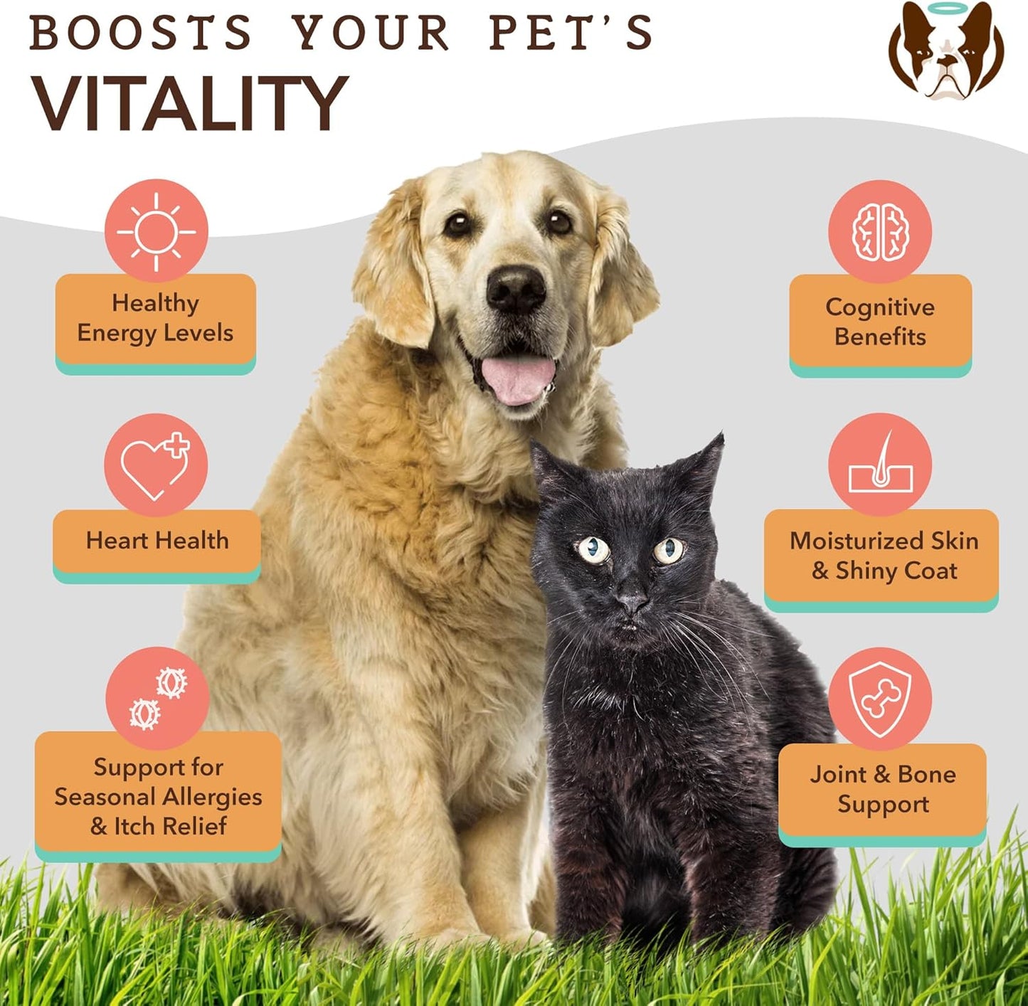 Senior Dog Immune Support Bundle: Multivitamin Chews & Atlantic Salmon Oil - Joint Care & Cognitive Health - 90 Chews + 16oz Oil