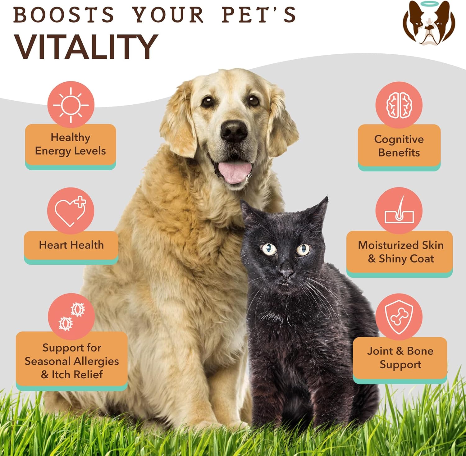 Senior Dog Immune Support Bundle: Multivitamin Chews & Atlantic Salmon Oil - Joint Care & Cognitive Health - 90 Chews + 16oz Oil