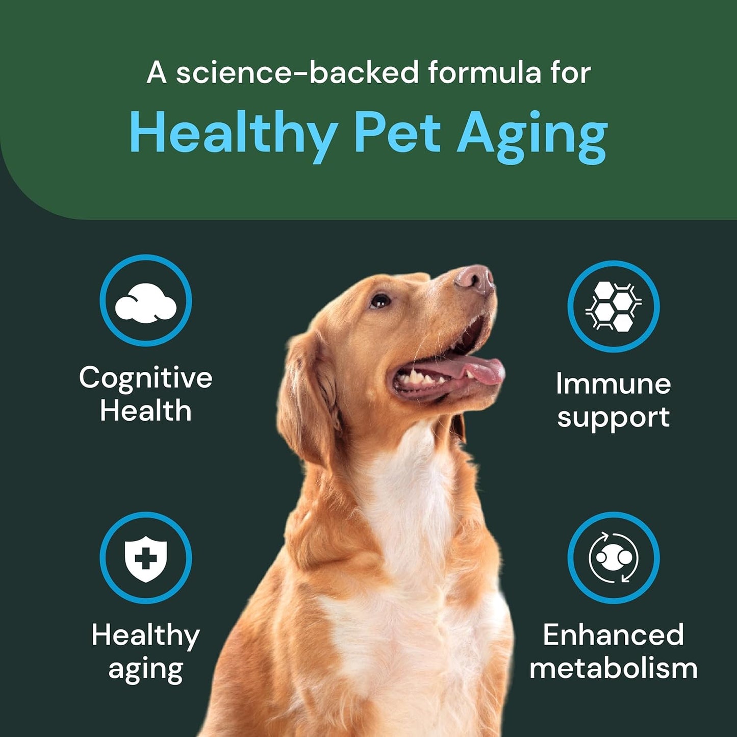 Senior Dog Multivitamin for Immune & Metabolic Support - Brain Health & Aging Formula - 60 Chews