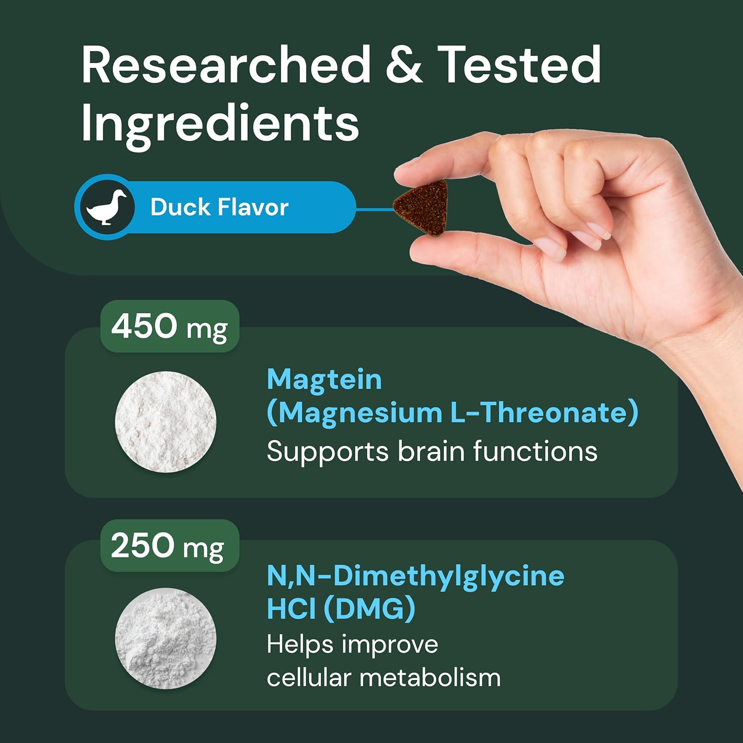 Senior Dog Multivitamin for Immune & Metabolic Support - Brain Health & Aging Formula - 60 Chews